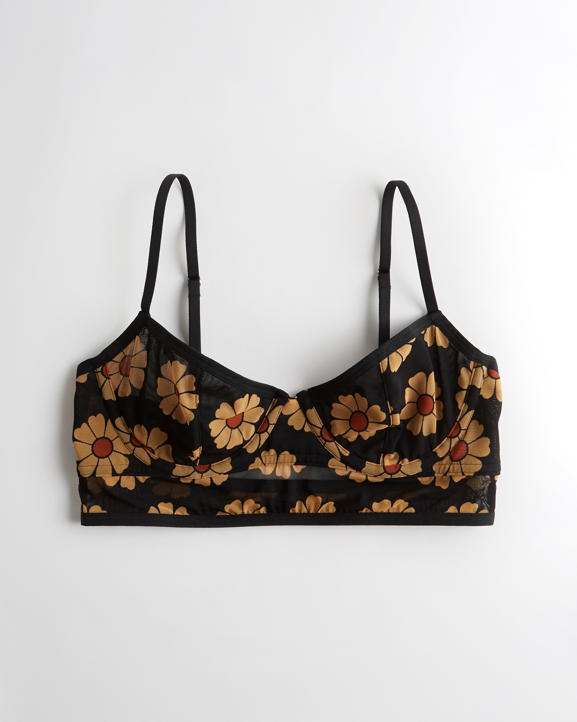 hollister bras