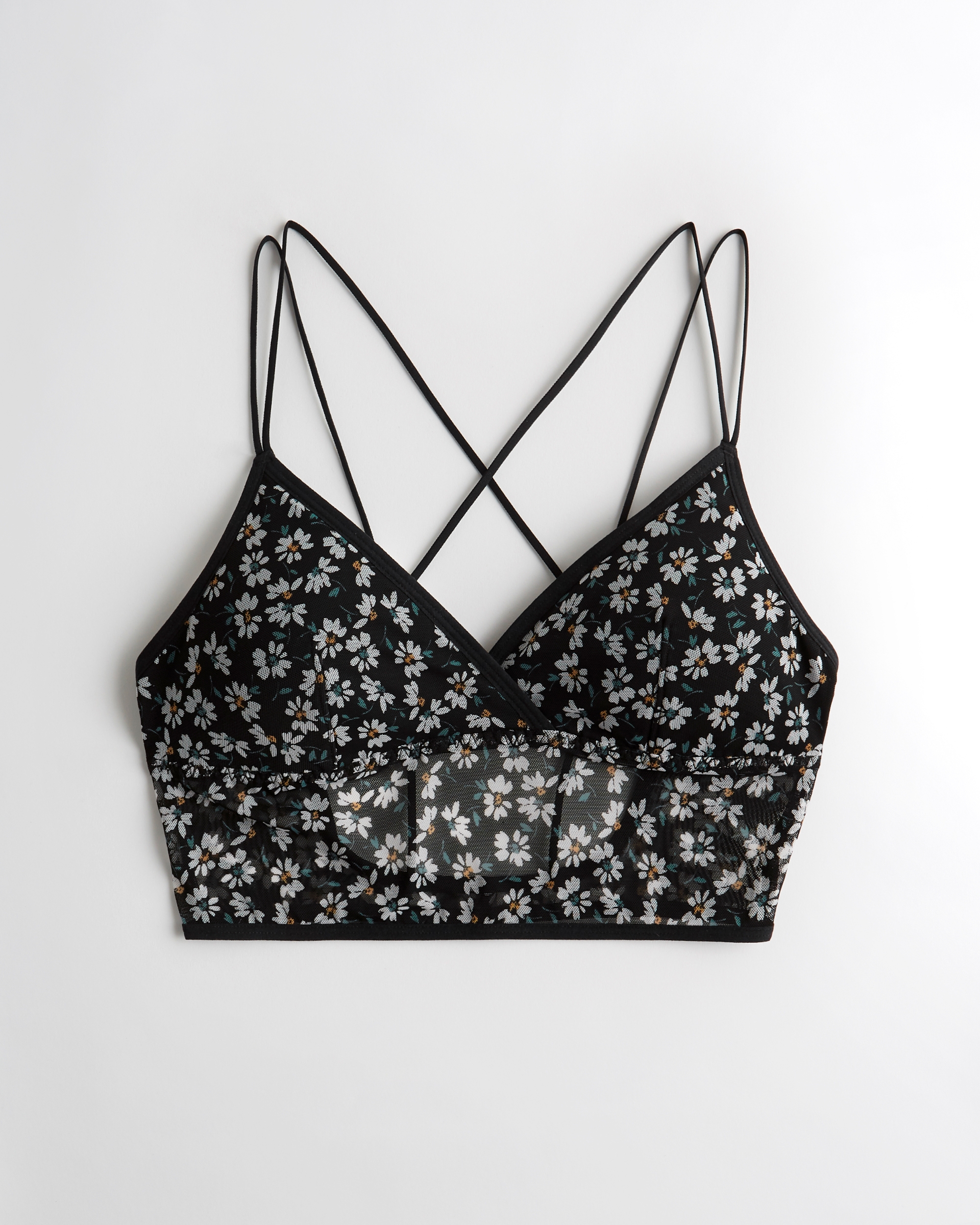 hollister bralettes