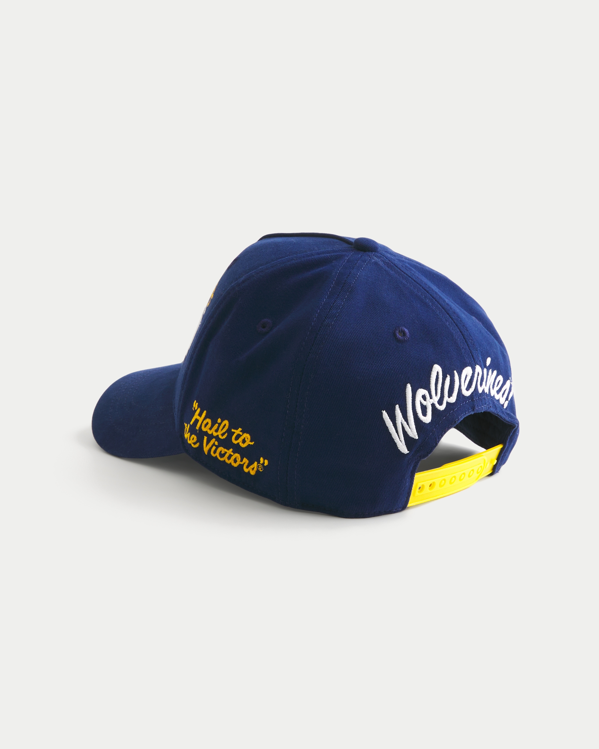 University of Michigan Wolverines Graphic Hat