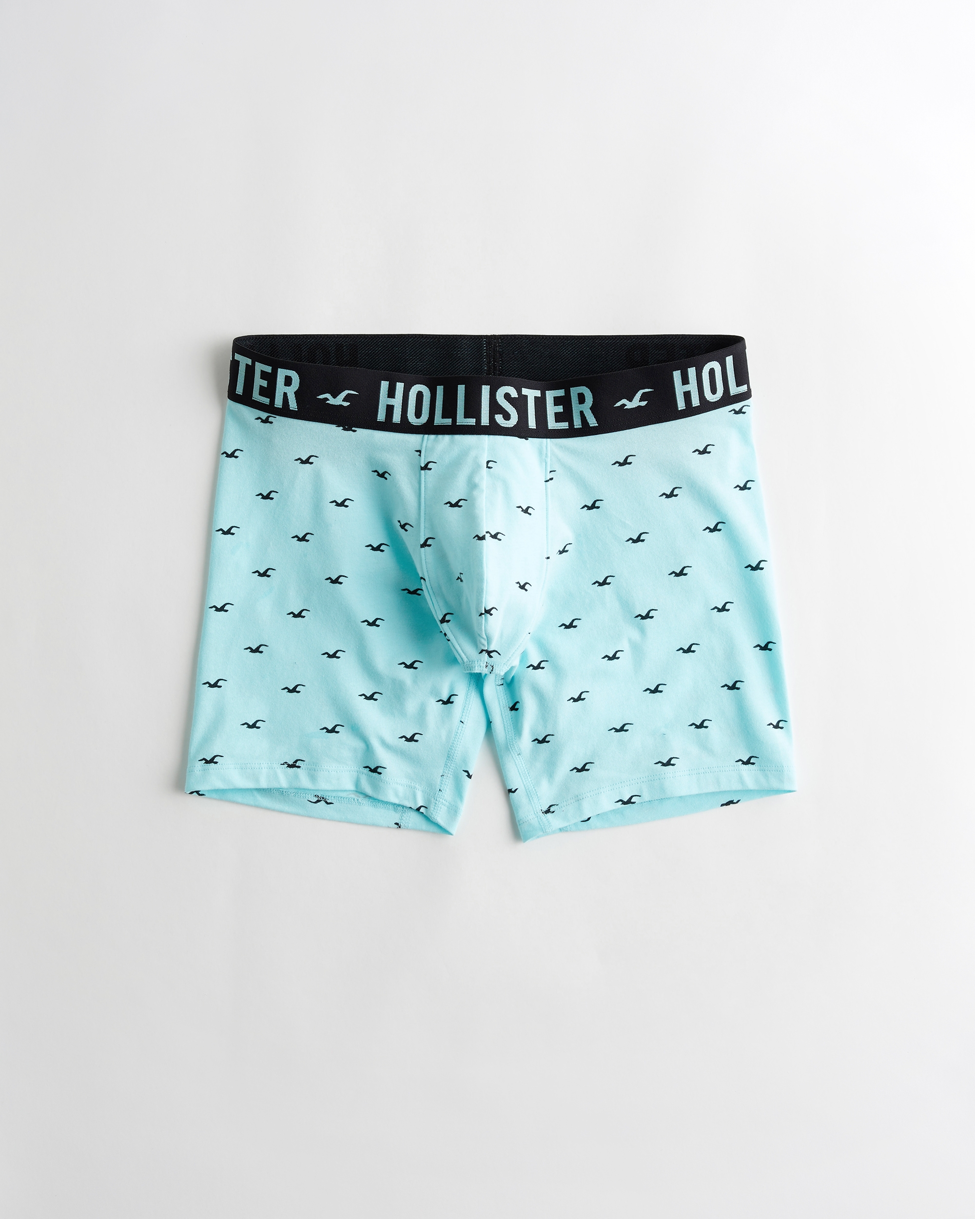 hollister boxers uk