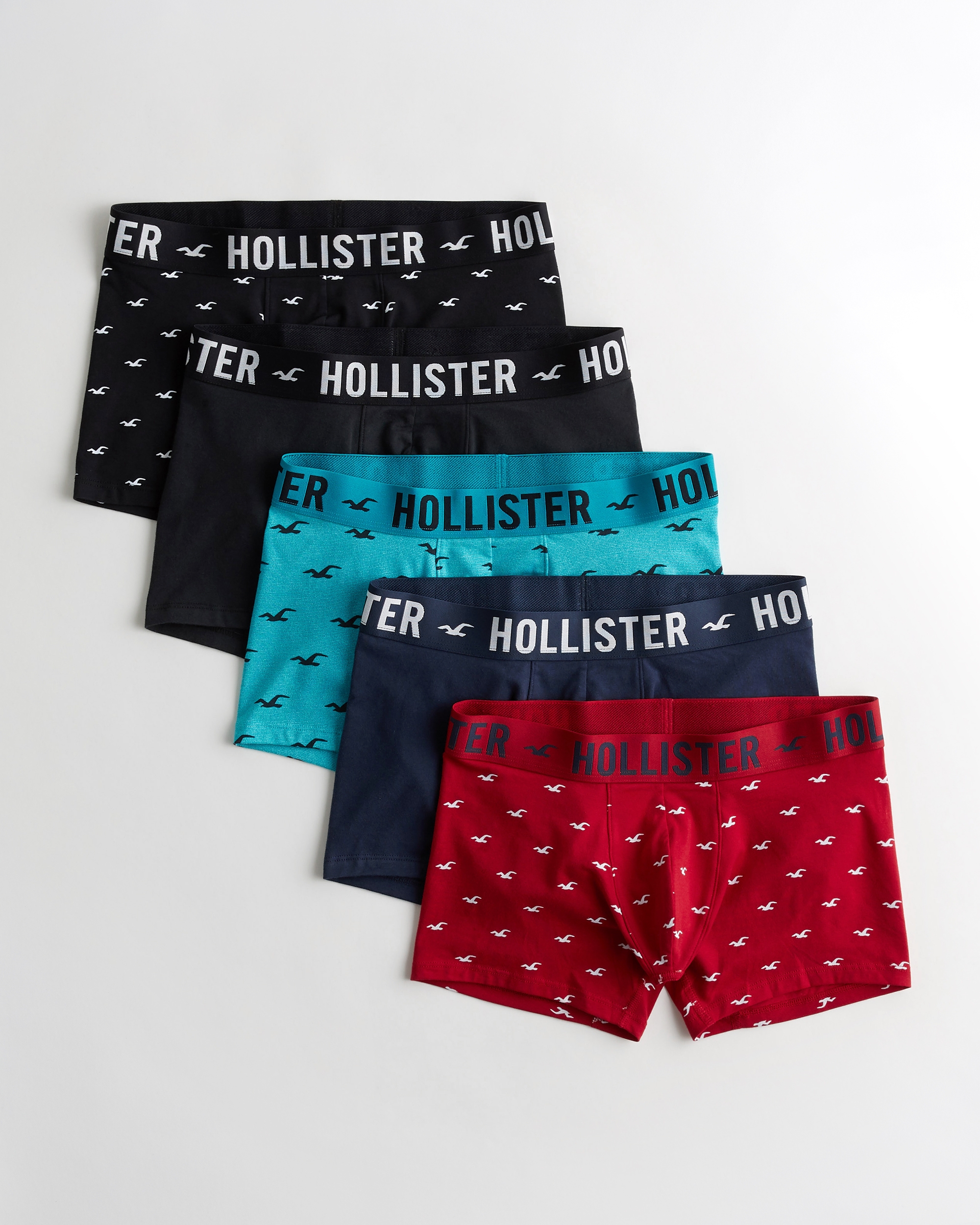 hollister trunks