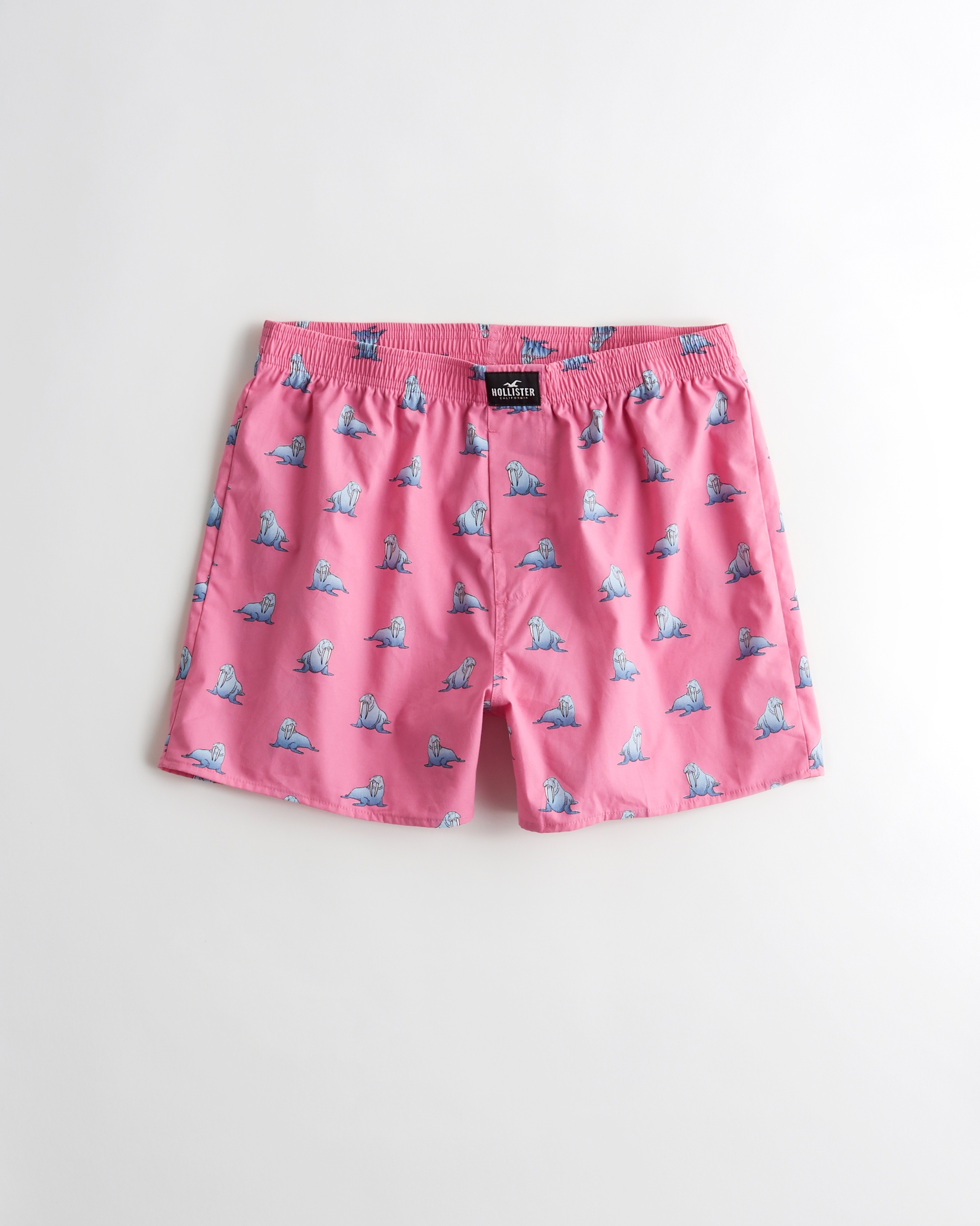 Hollister deals boxer shorts