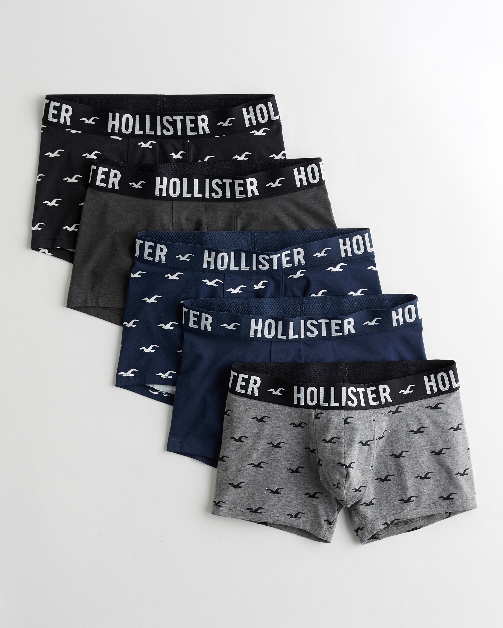 hollister trunks