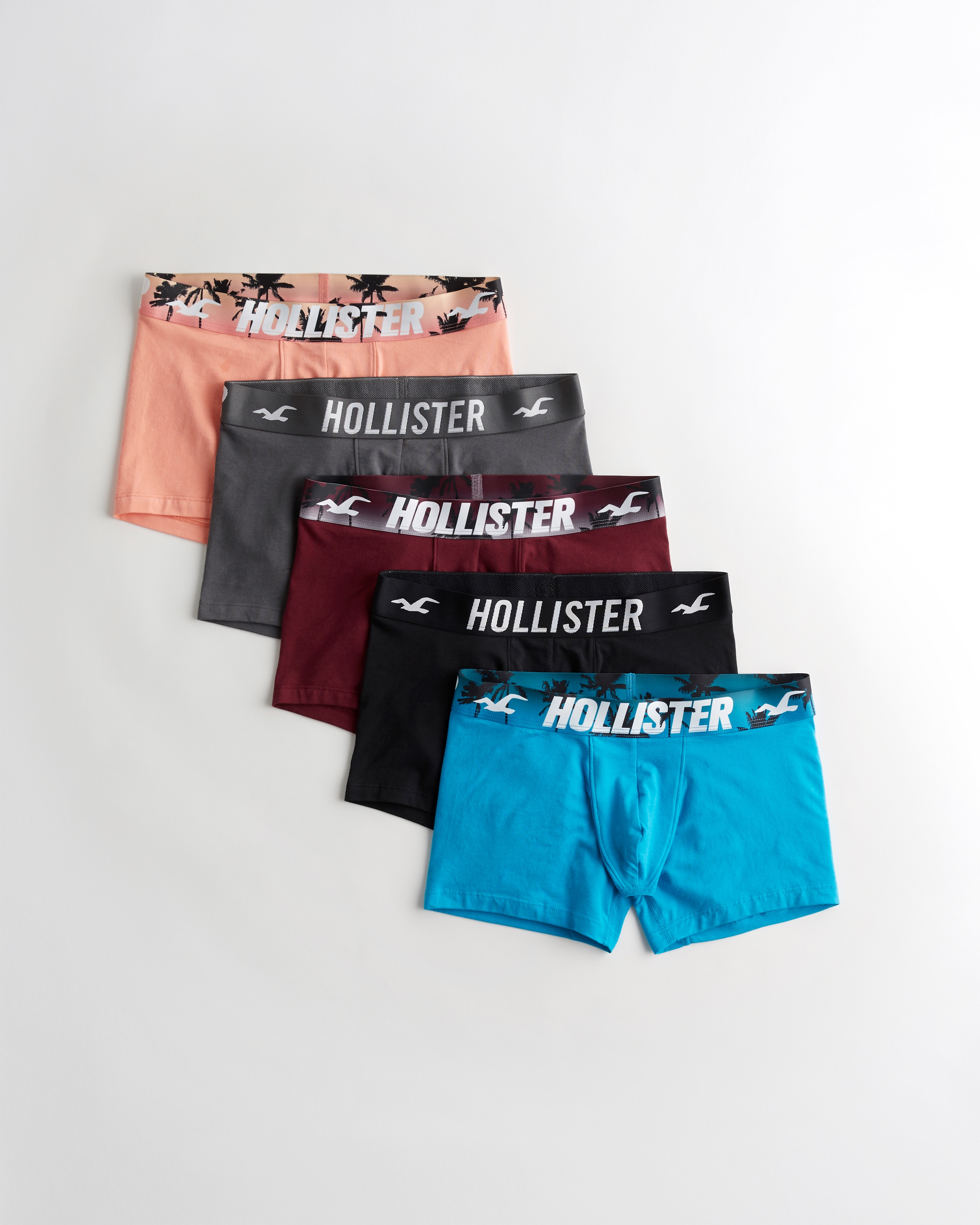 boxers hollister