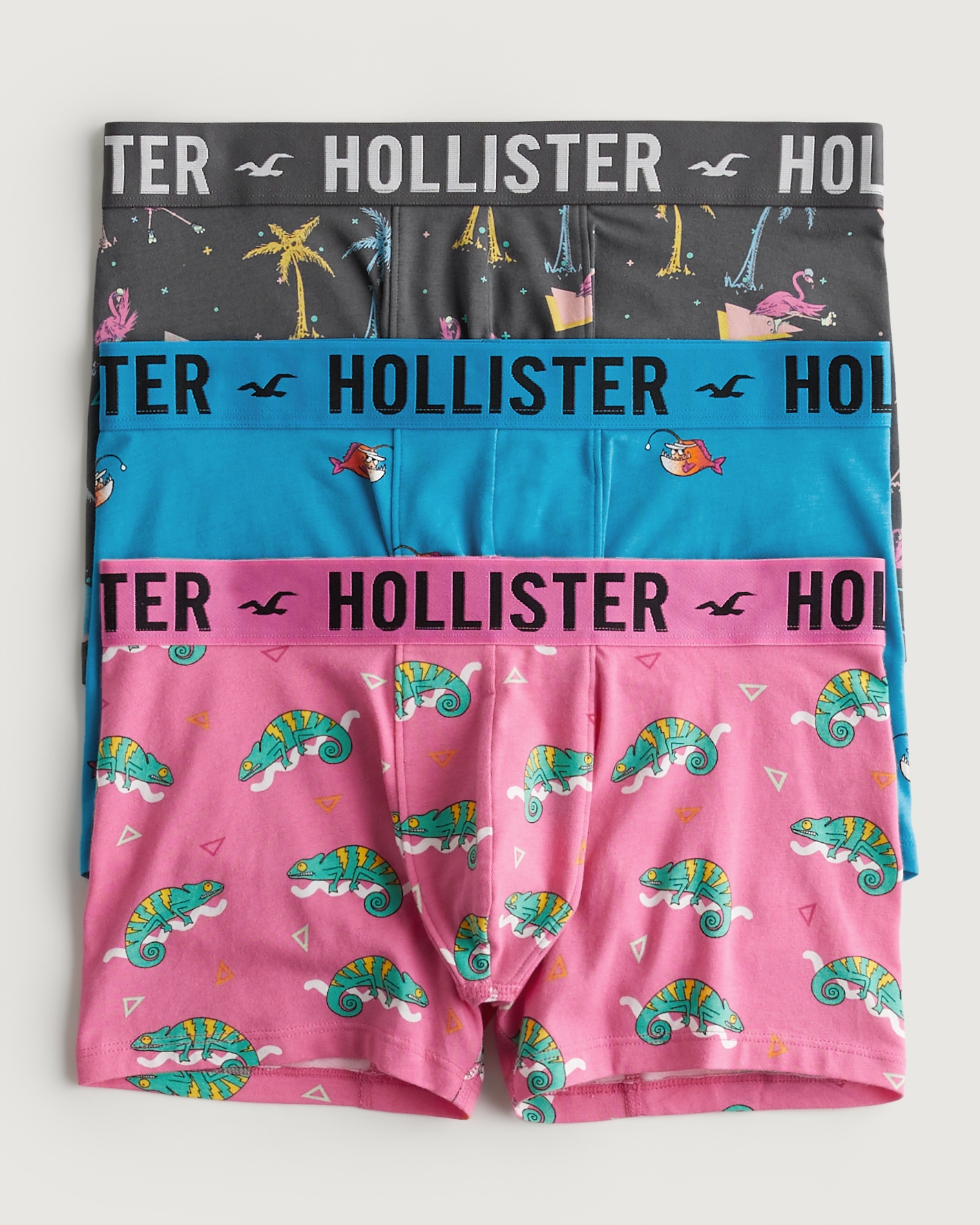 Hollister underwear hot sale clearance