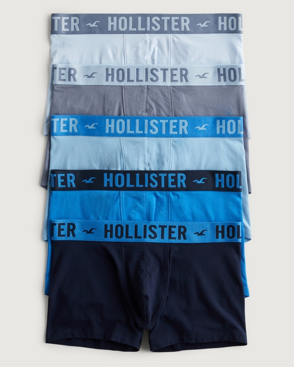 Hollister Co. LONGER-LENGTH BOXER BRIEF 5-PACK - Pants -  BLACK/WHITE/BLUE/GRAY/light blue - Zalando.de