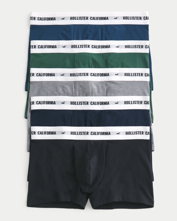 Hollister Co. LONGER-LENGTH BOXER BRIEF 5-PACK - Pants -  BLACK/WHITE/BLUE/GRAY/light blue - Zalando.de