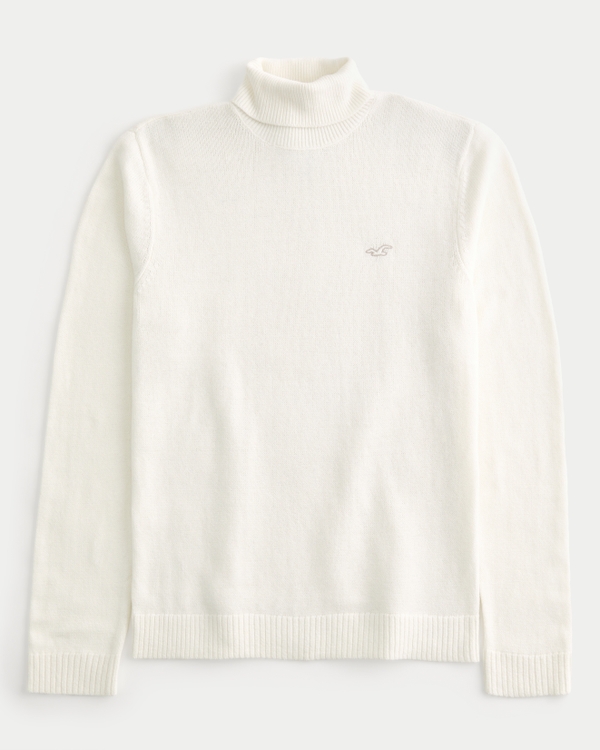 Hollister on sale turtleneck sweater