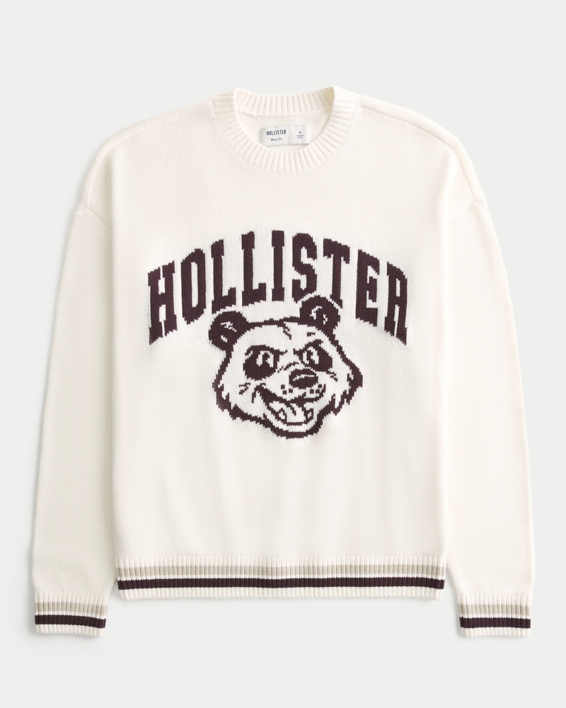 Hollister textured crewneck sweater hotsell