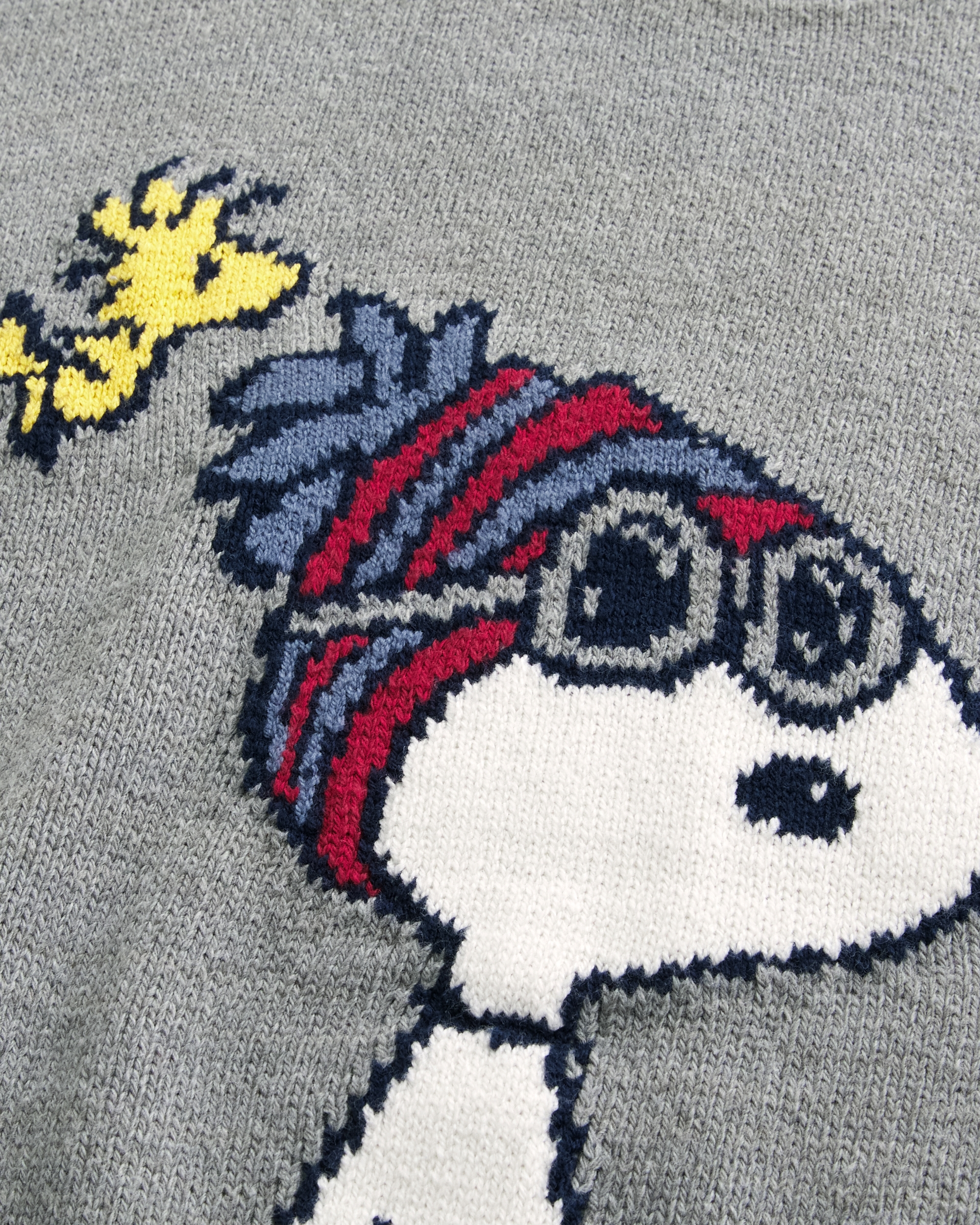 Relaxed Snoopy Graphic Crew Sweater