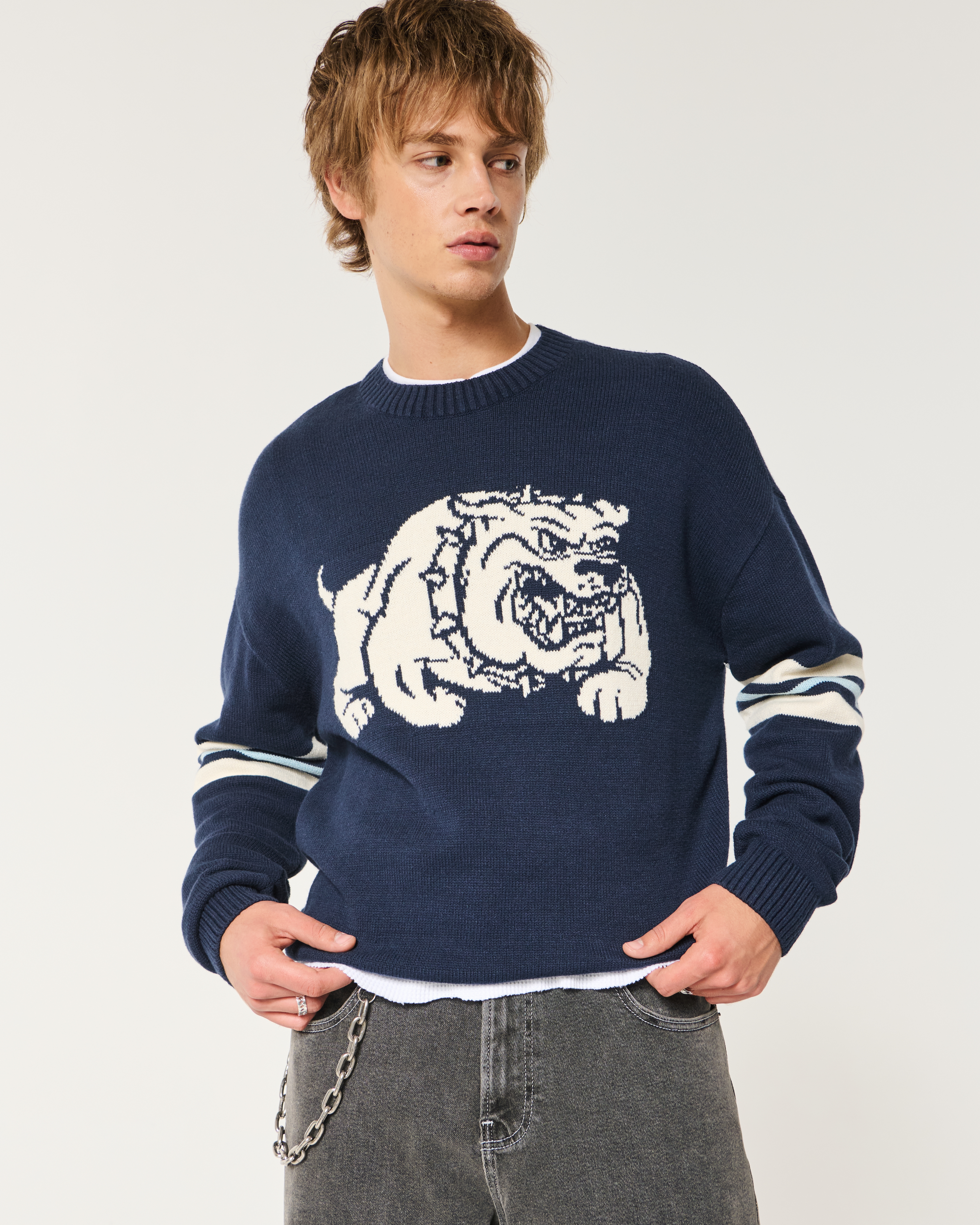 Boxy Bulldog Graphic Crew Sweater