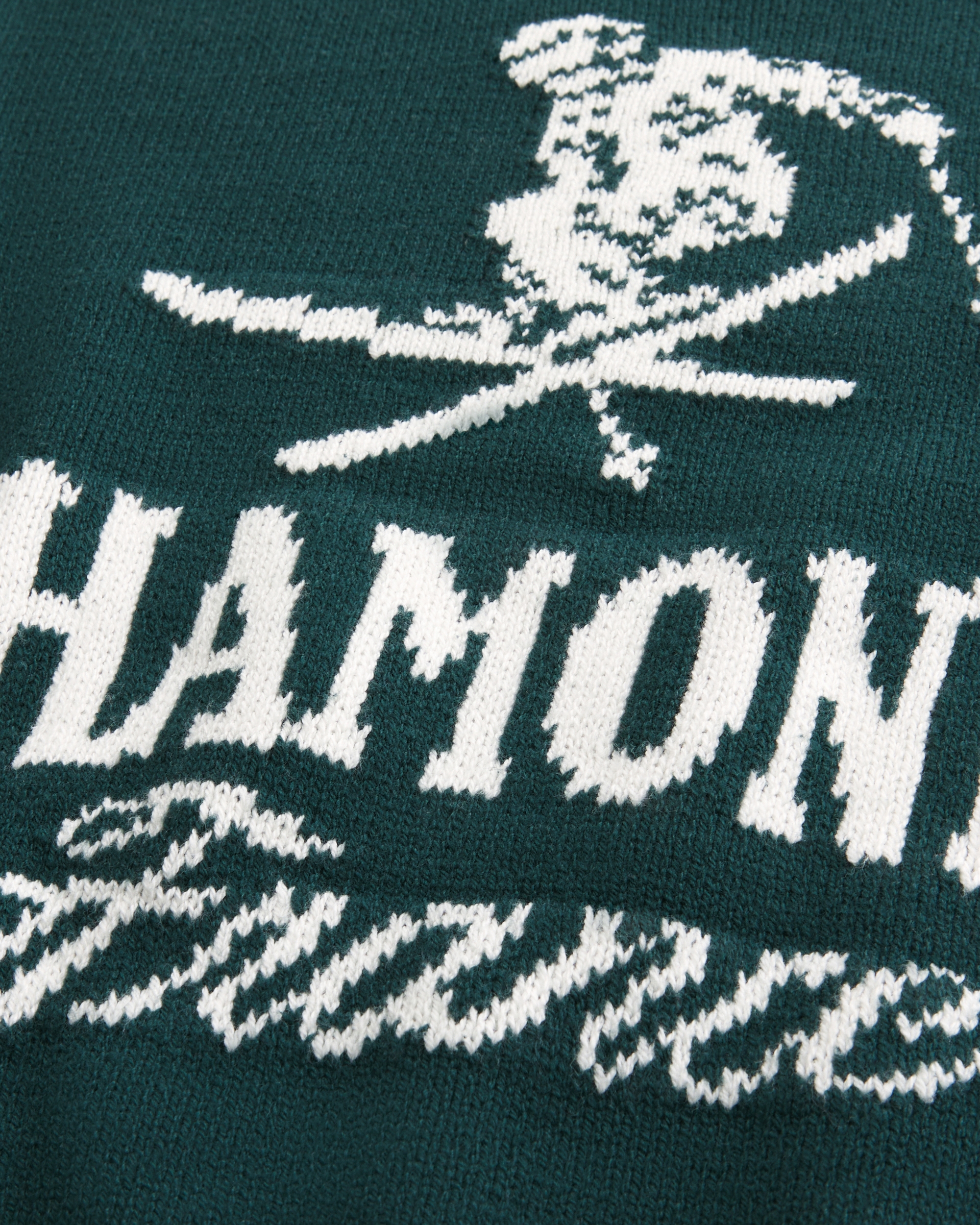 Boxy Chamonix France Graphic Crew Sweater