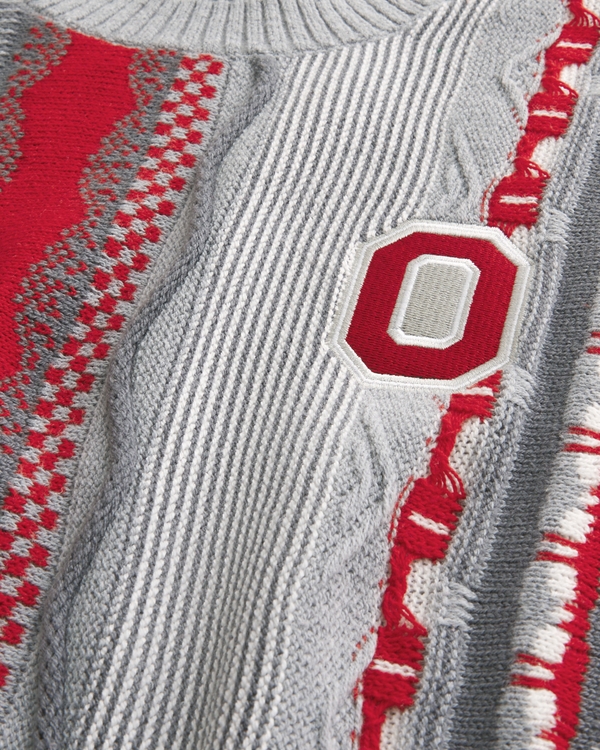 Boxy The Ohio State University Buckeyes Graphic Crew Sweater