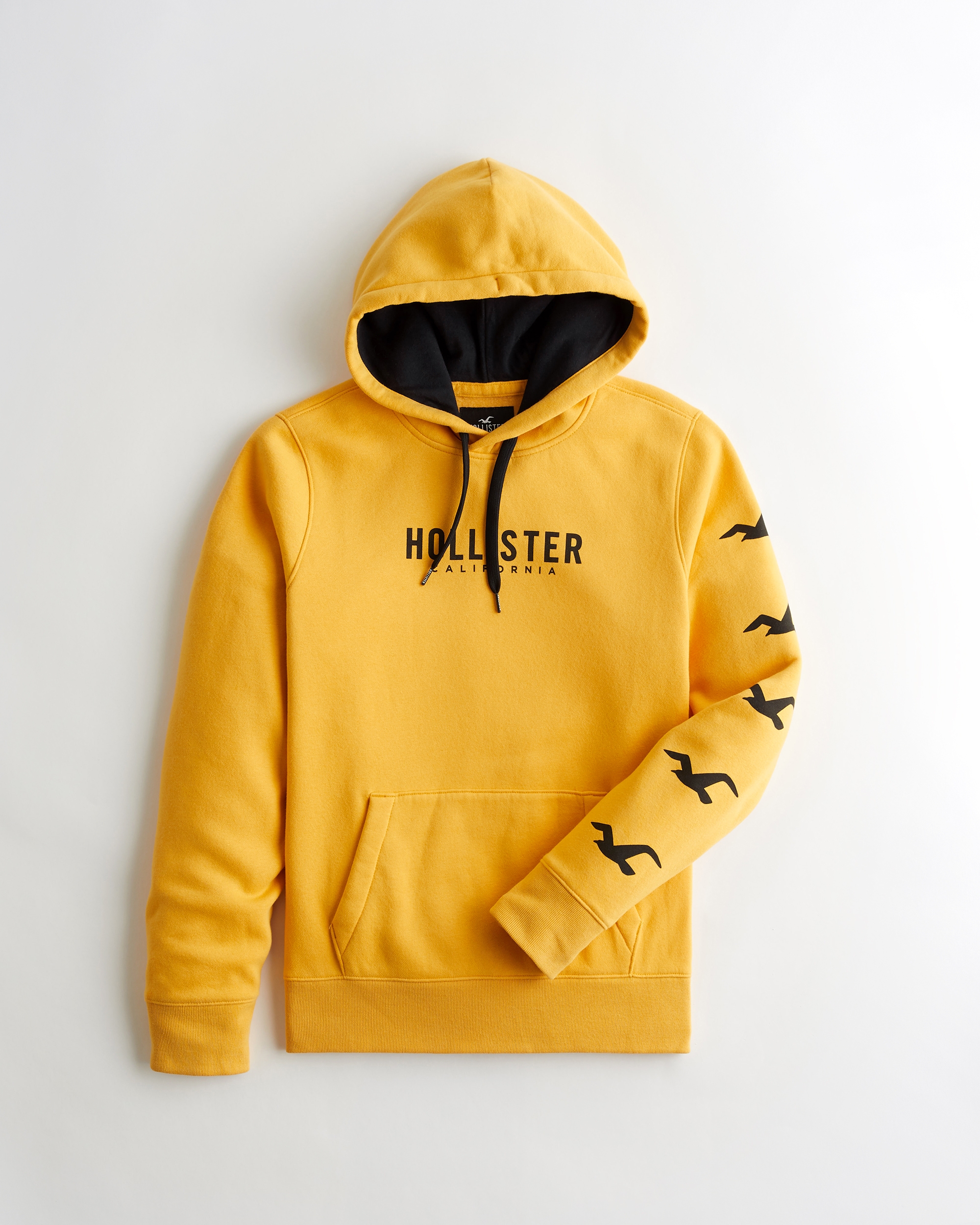 hollistwr hoodie