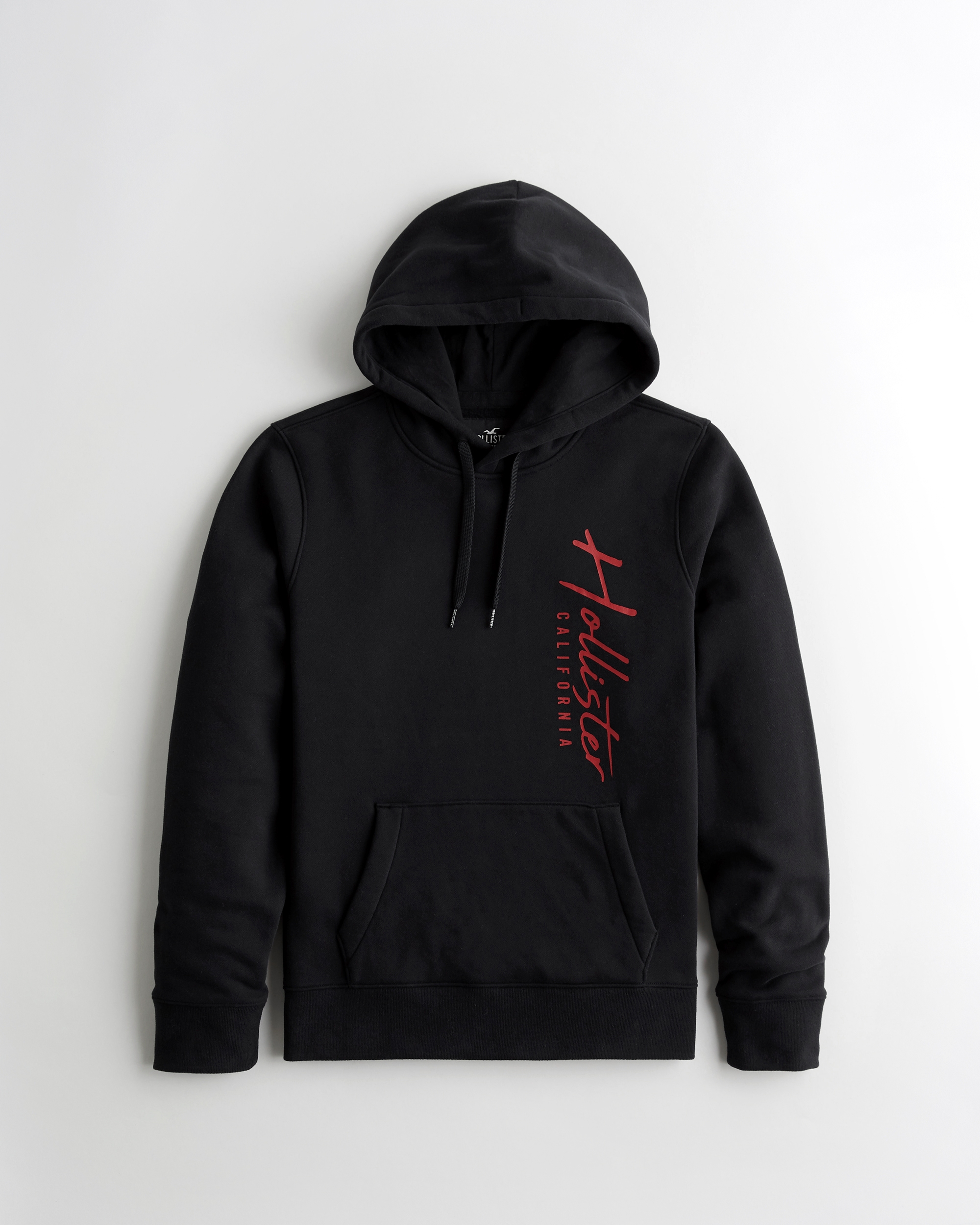 hollister lion hoodie