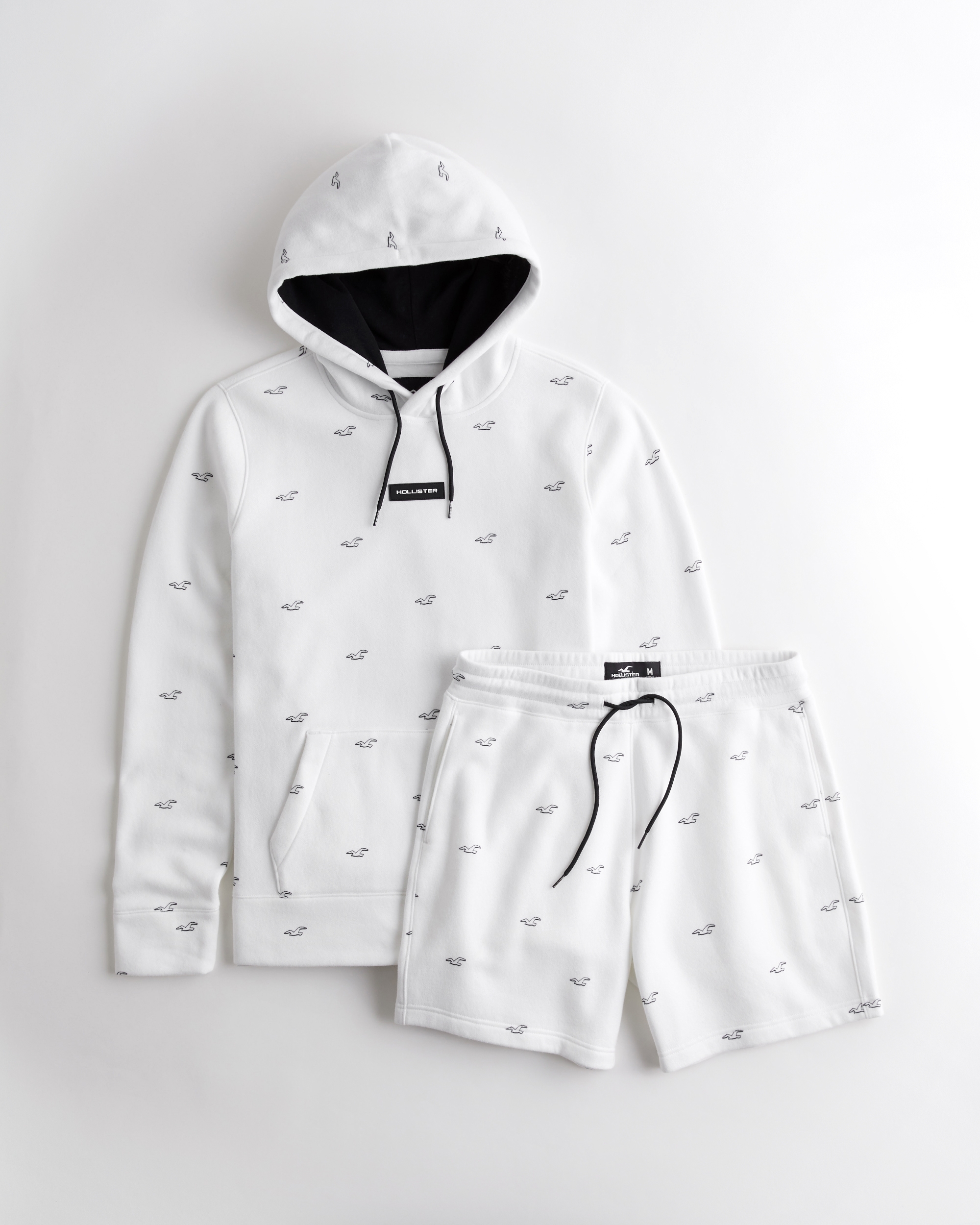 hollister sweatshirts