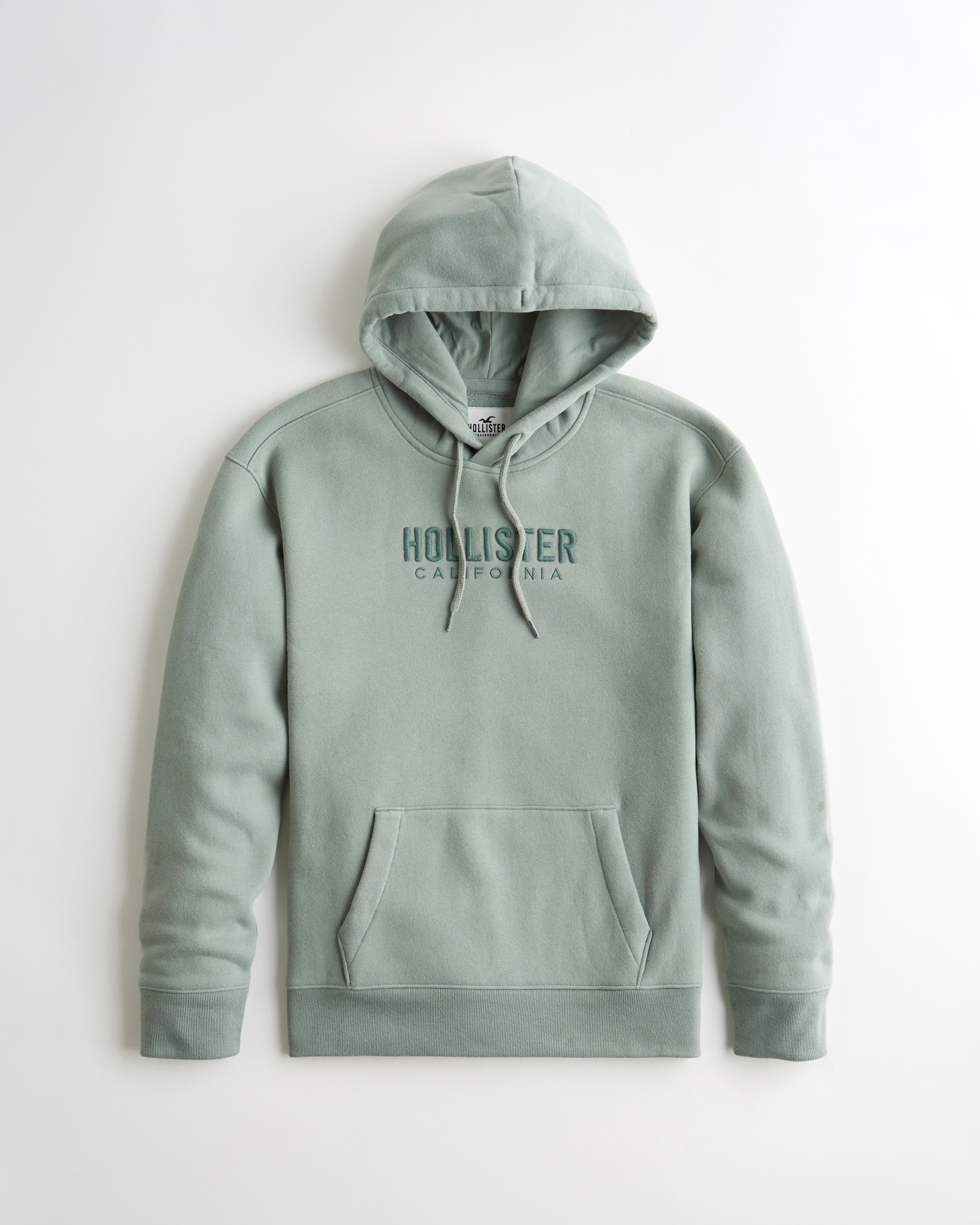 hollister embroidered logo hoodie