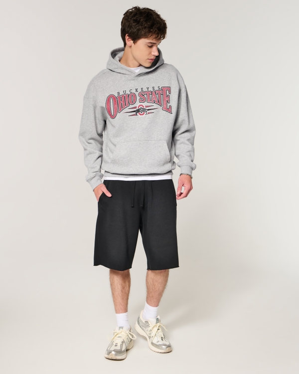 The Ohio State University Buckeyes Graphic Hoodie, Heather Gray view 2