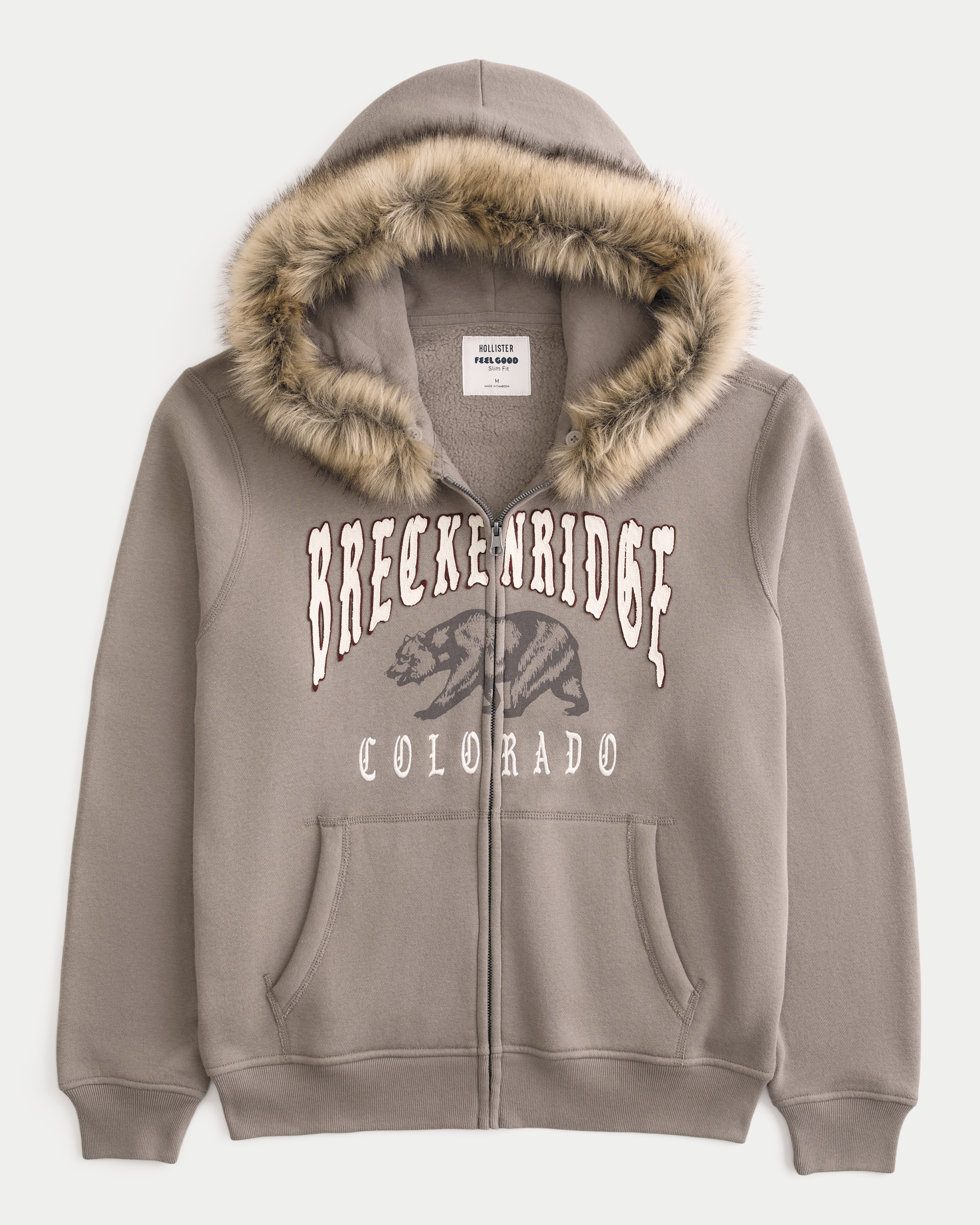 Hollister Feel Good Breckenridge Graphic Hoodie