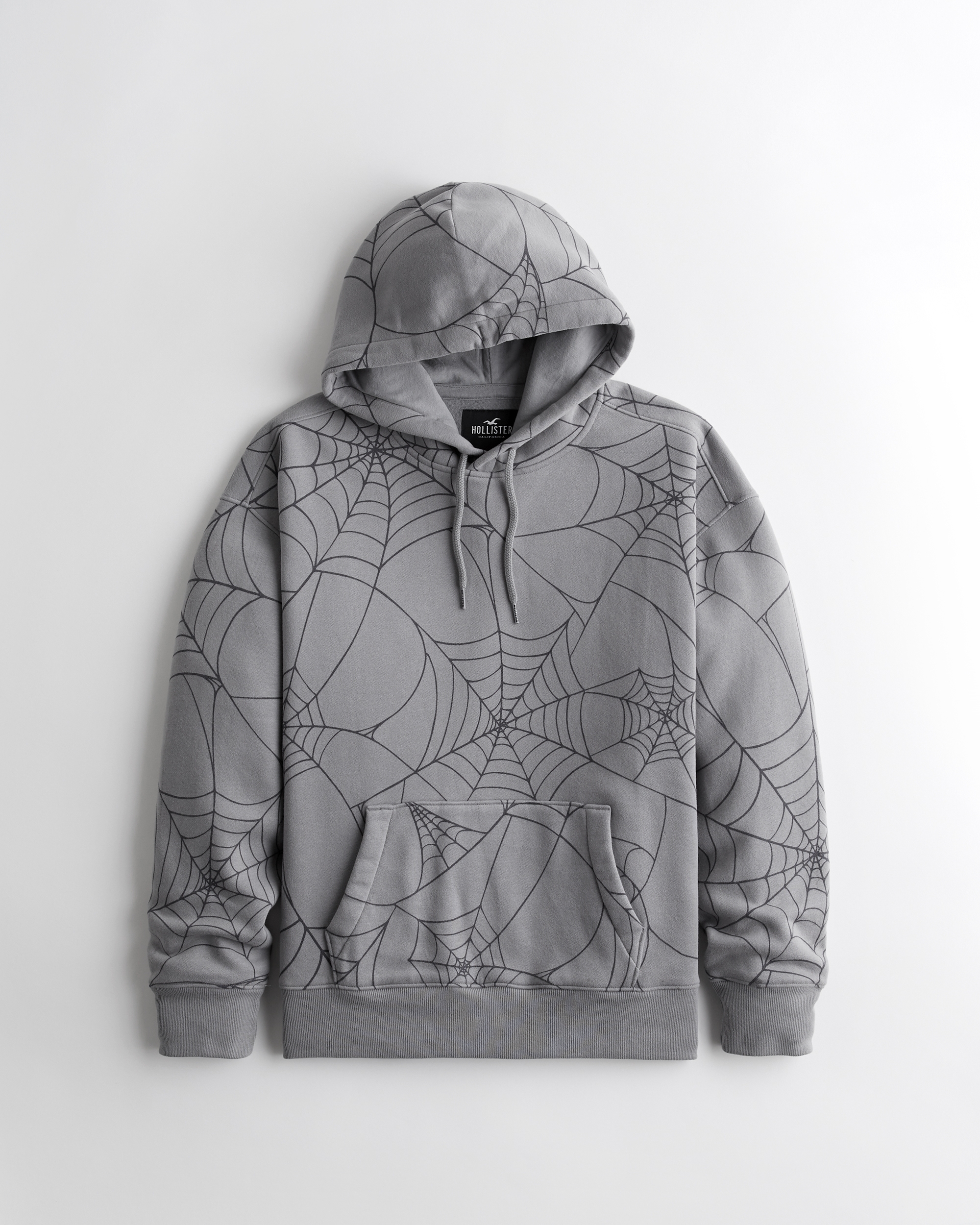 Hollister Spider Web Graphic Hoodie | Mall of America®