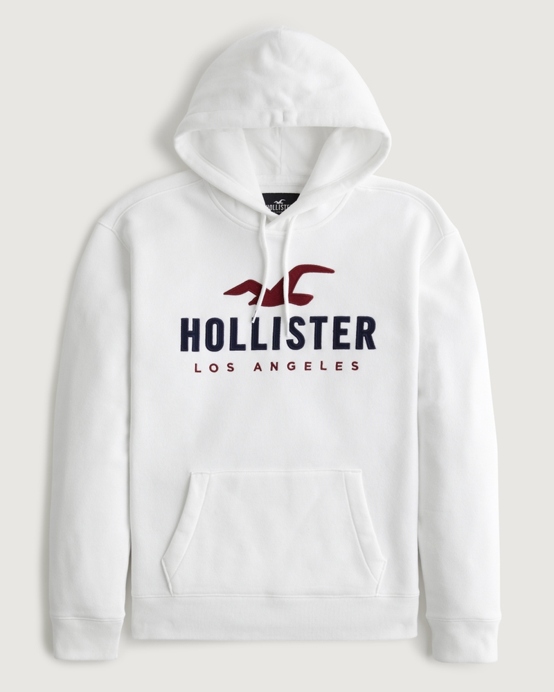 Men's Logo Graphic Hoodie | Men's Tops | HollisterCo.com