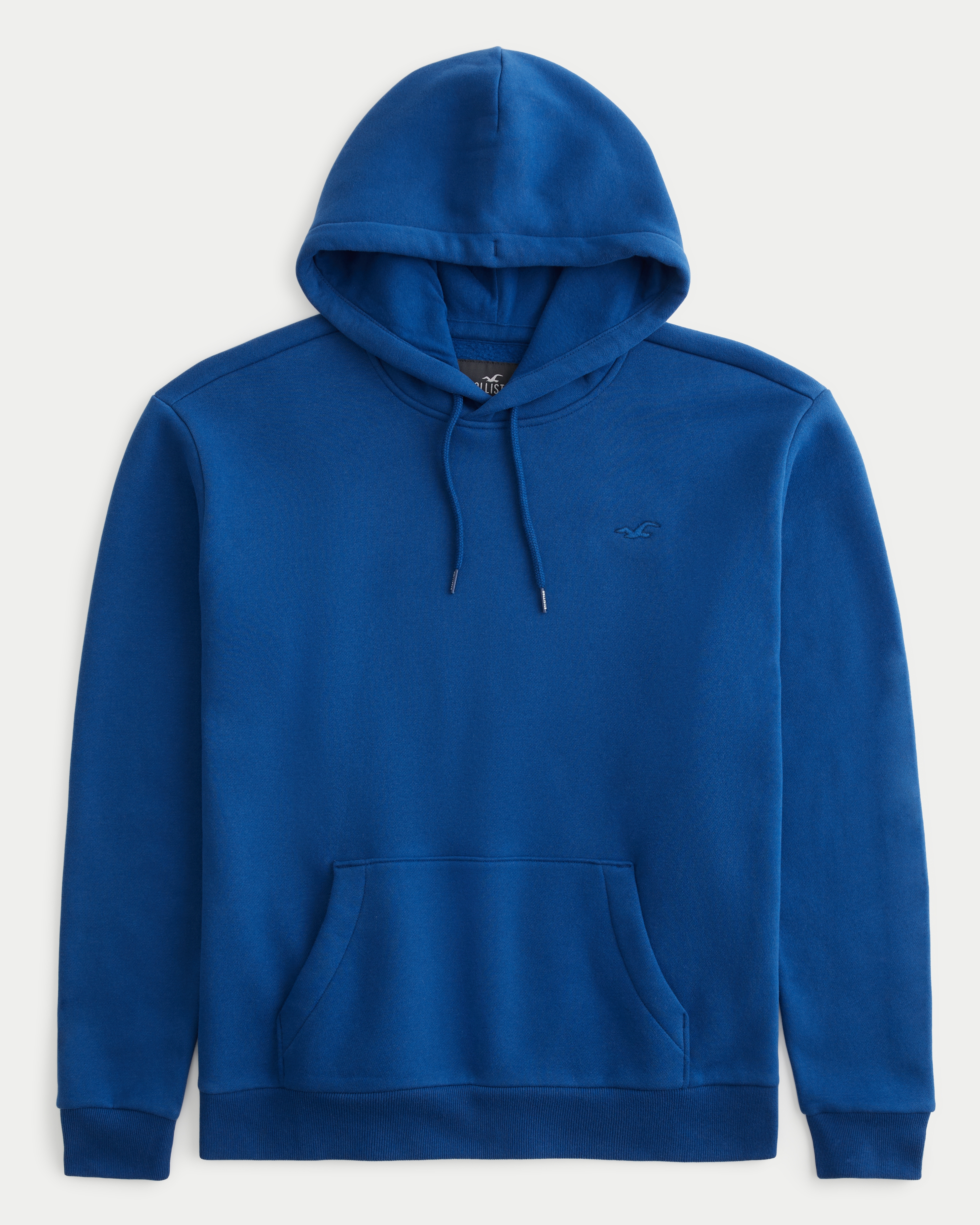 Blue best sale hollister hoodie