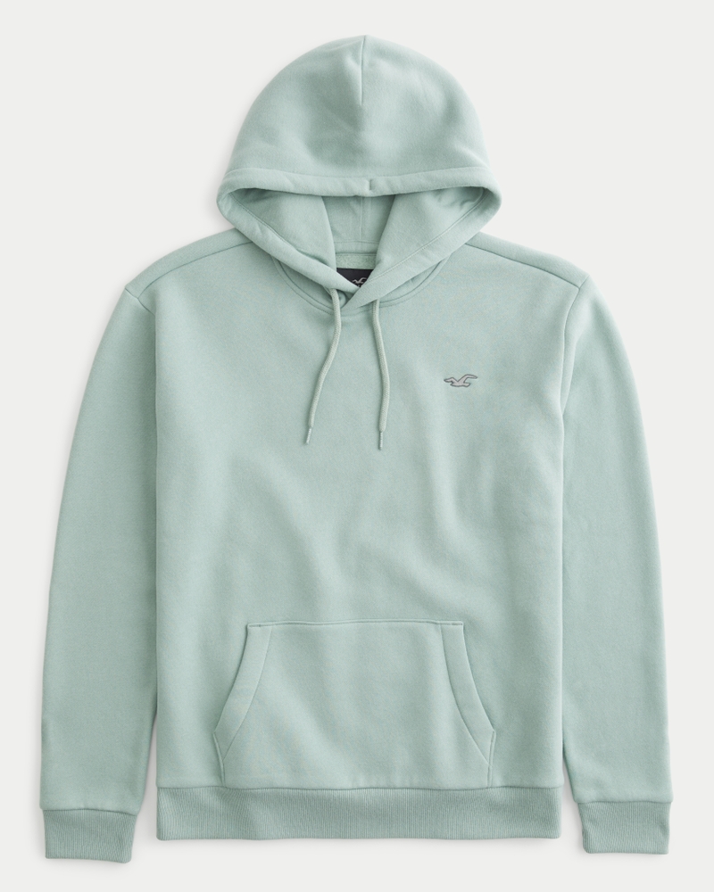 Icon hoodie hollister hotsell