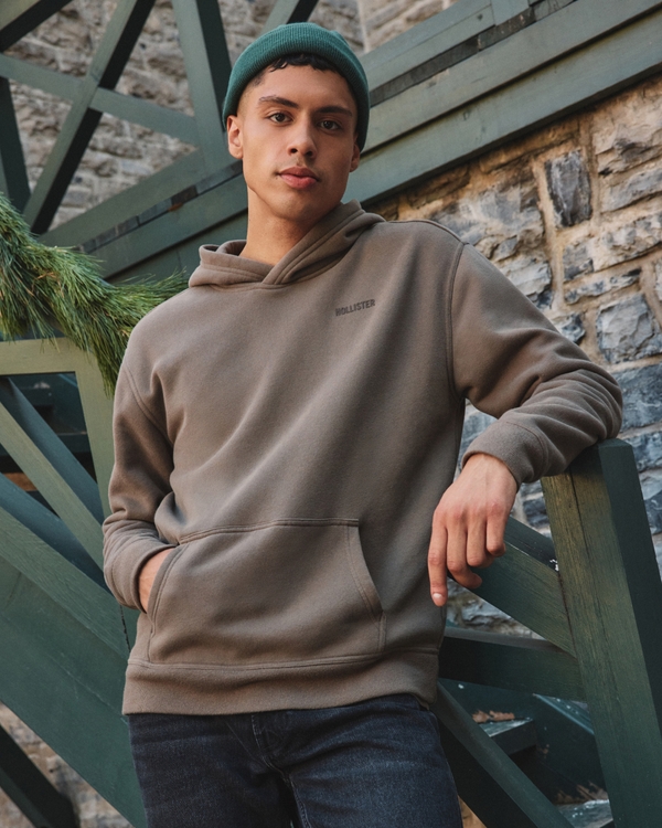 Hollister Ligature Logo Hoodie In Tan-Brown for Men