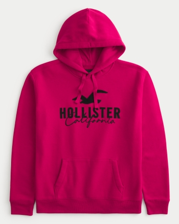 Men s Logo Graphic Hoodie Men s Sale HollisterCo