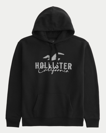 Hollister hoodie logo 2025