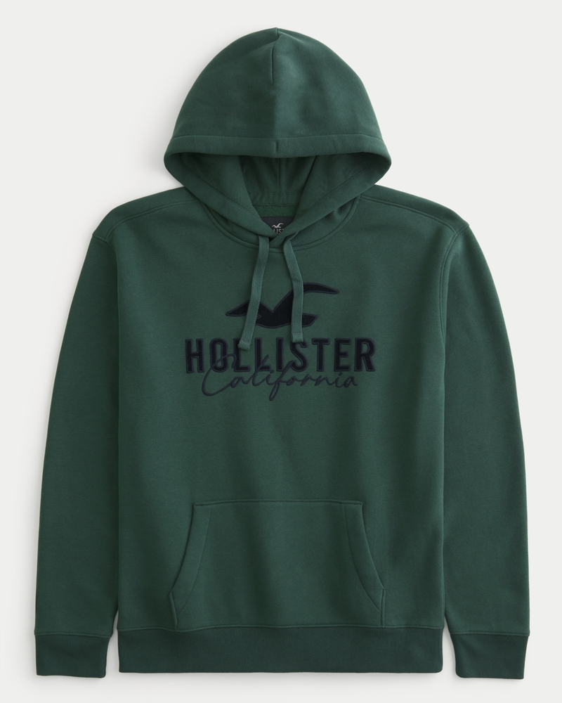 Men s Logo Graphic Hoodie Men s Tops HollisterCo