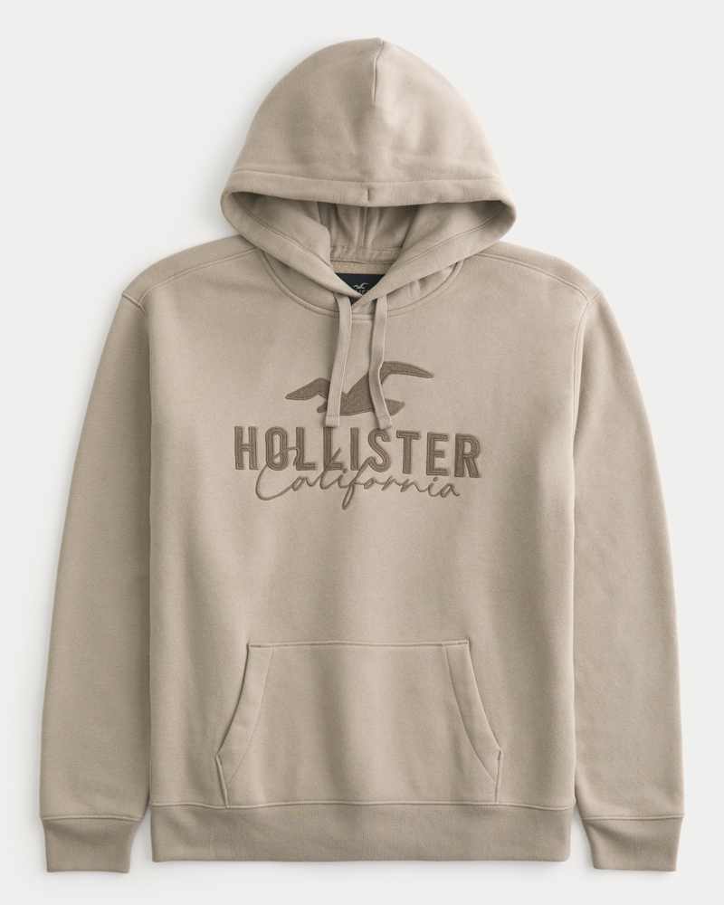 Hollister hot sale logo hoodies