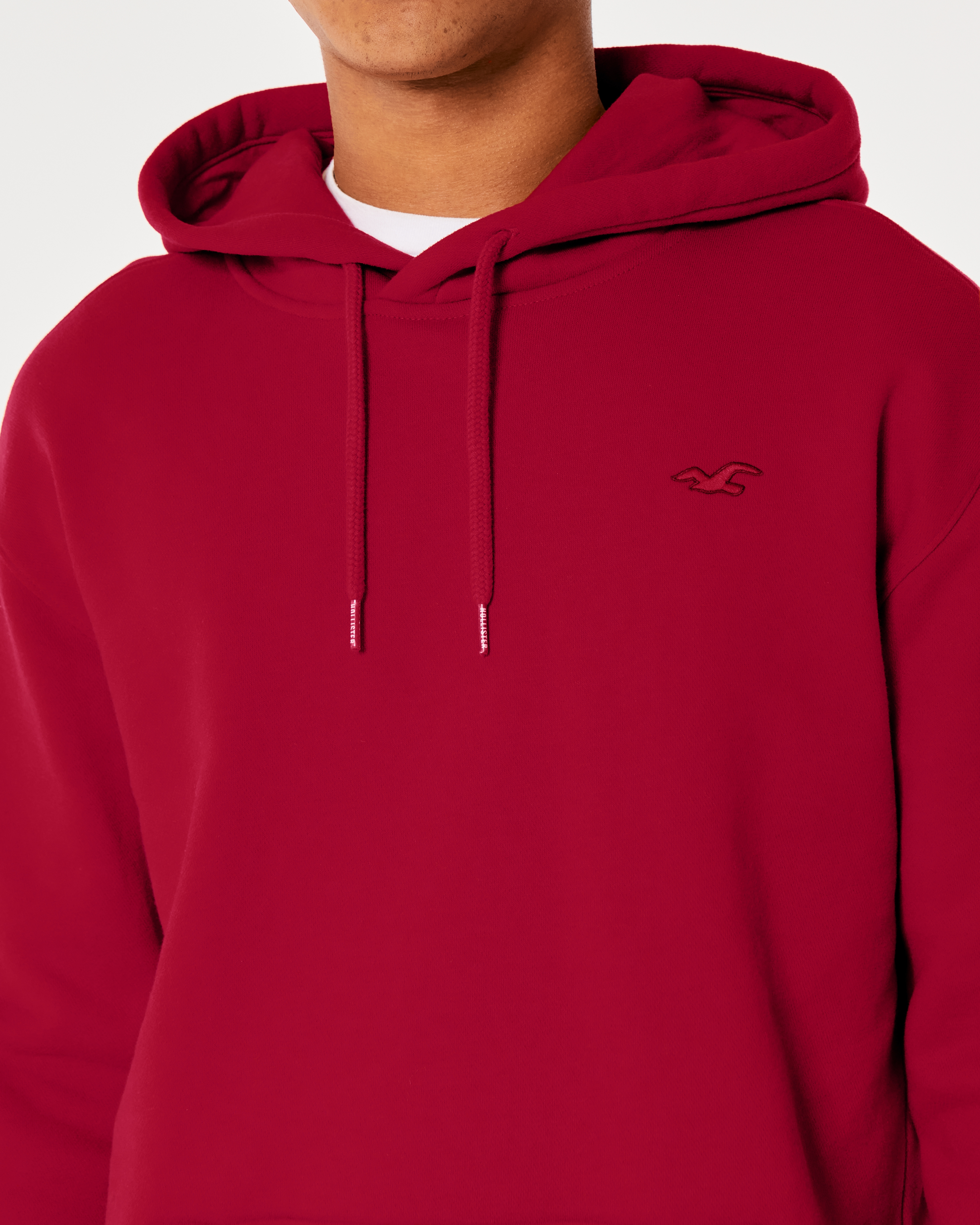 Icon hoodie online hollister