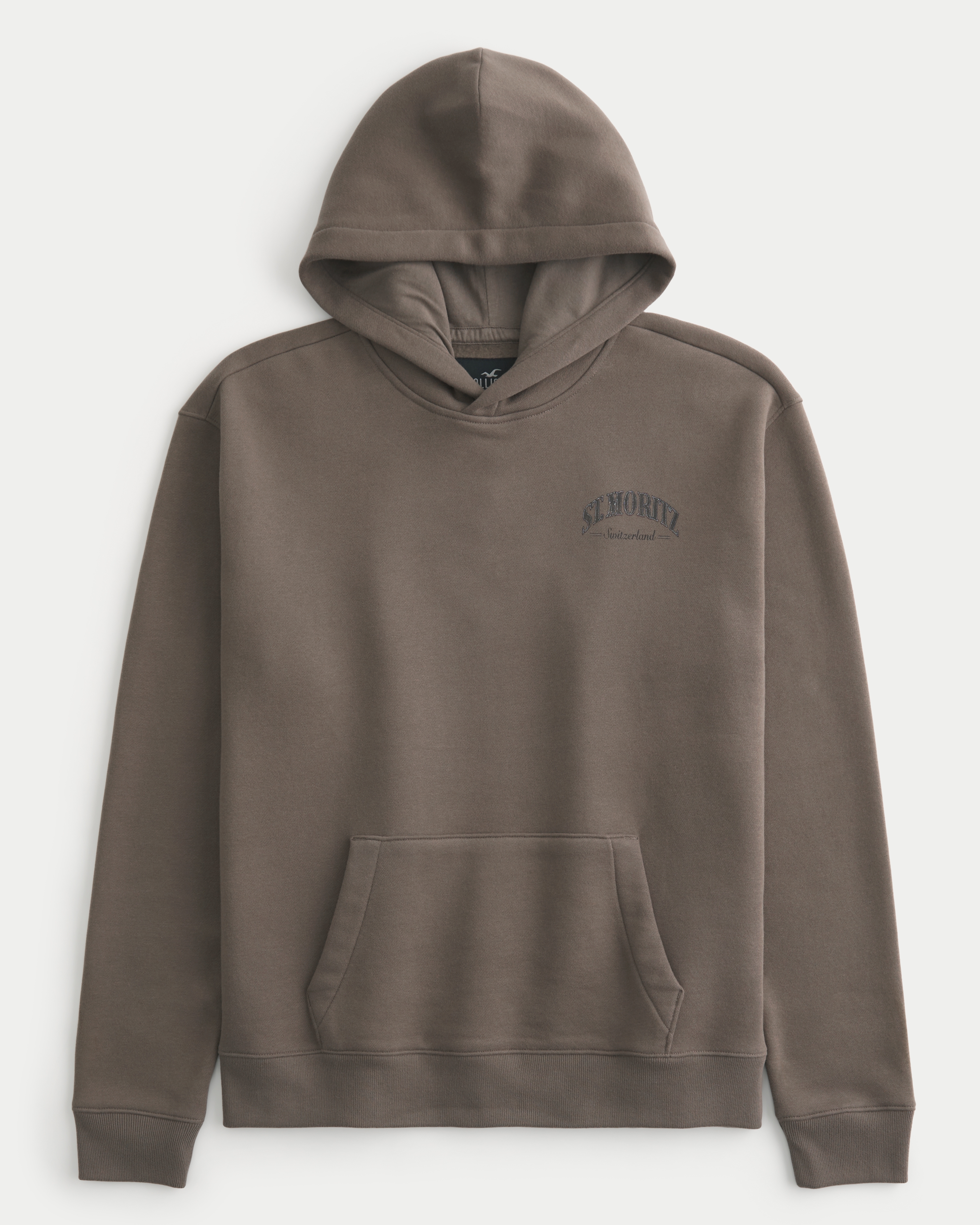 Hollister lion online hoodie