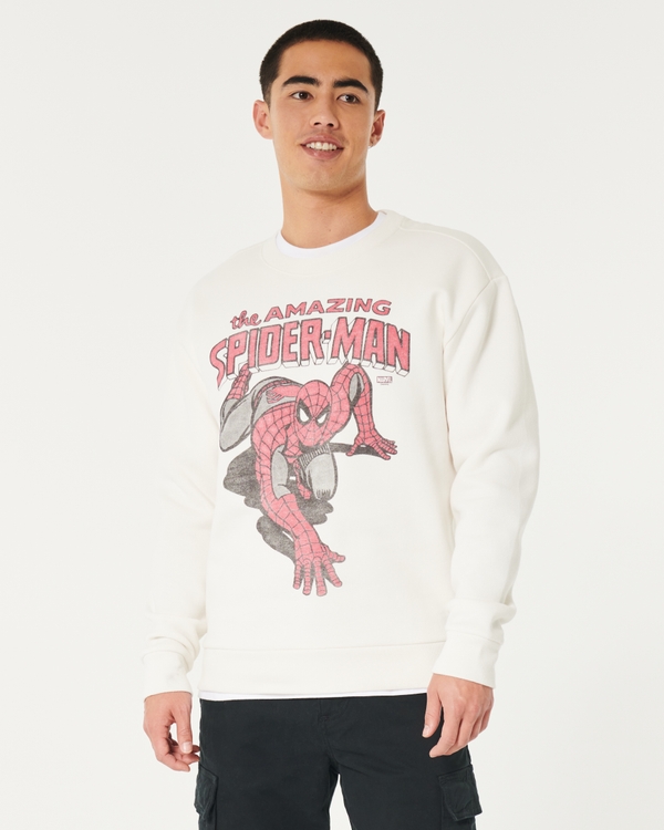 Hollister hoodies mens on sale sale