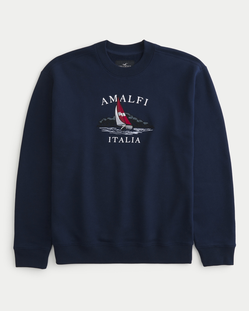 Hollister discount navy sweatshirt