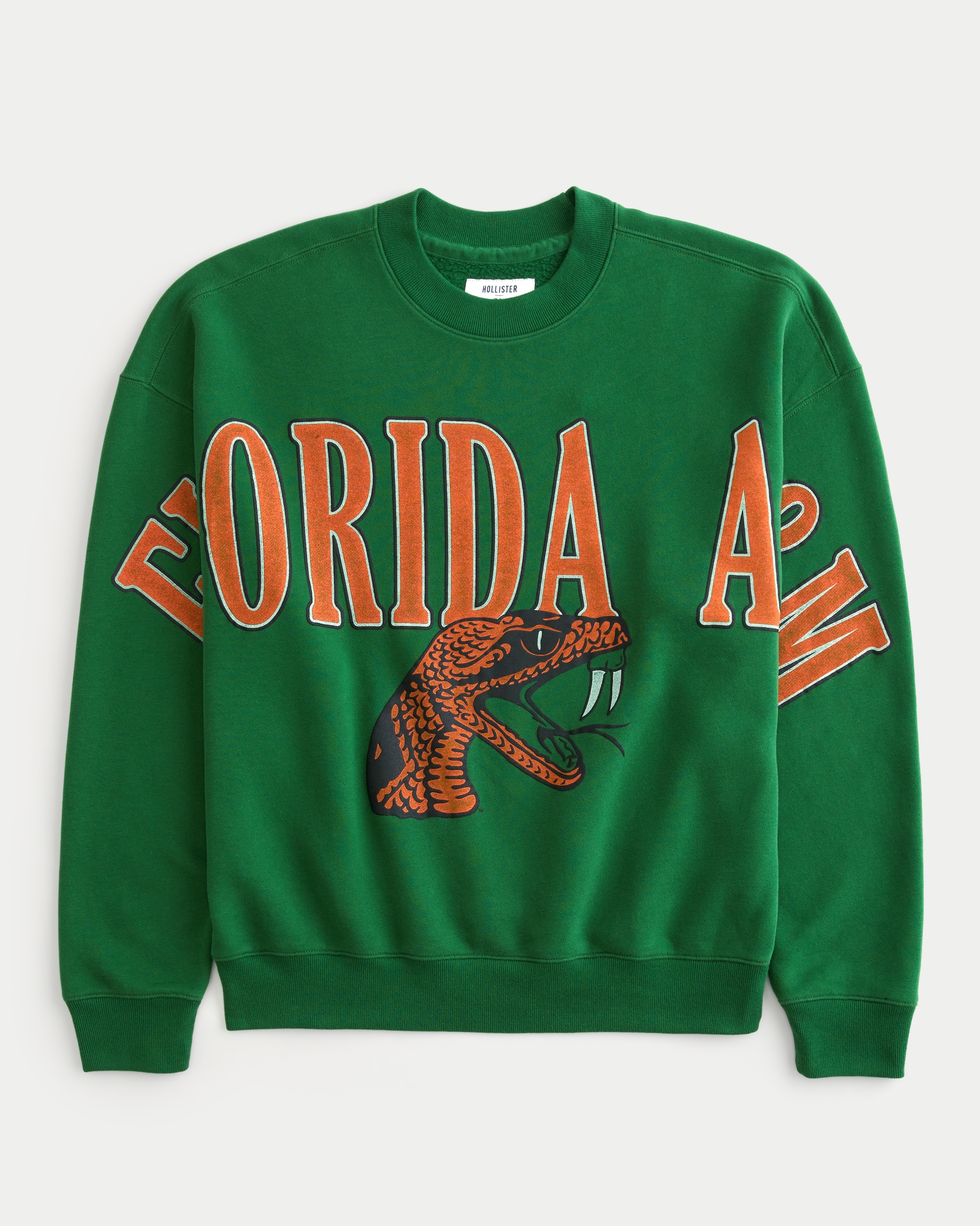 Boxy Florida A&M Graphic Crew Sweatshirt