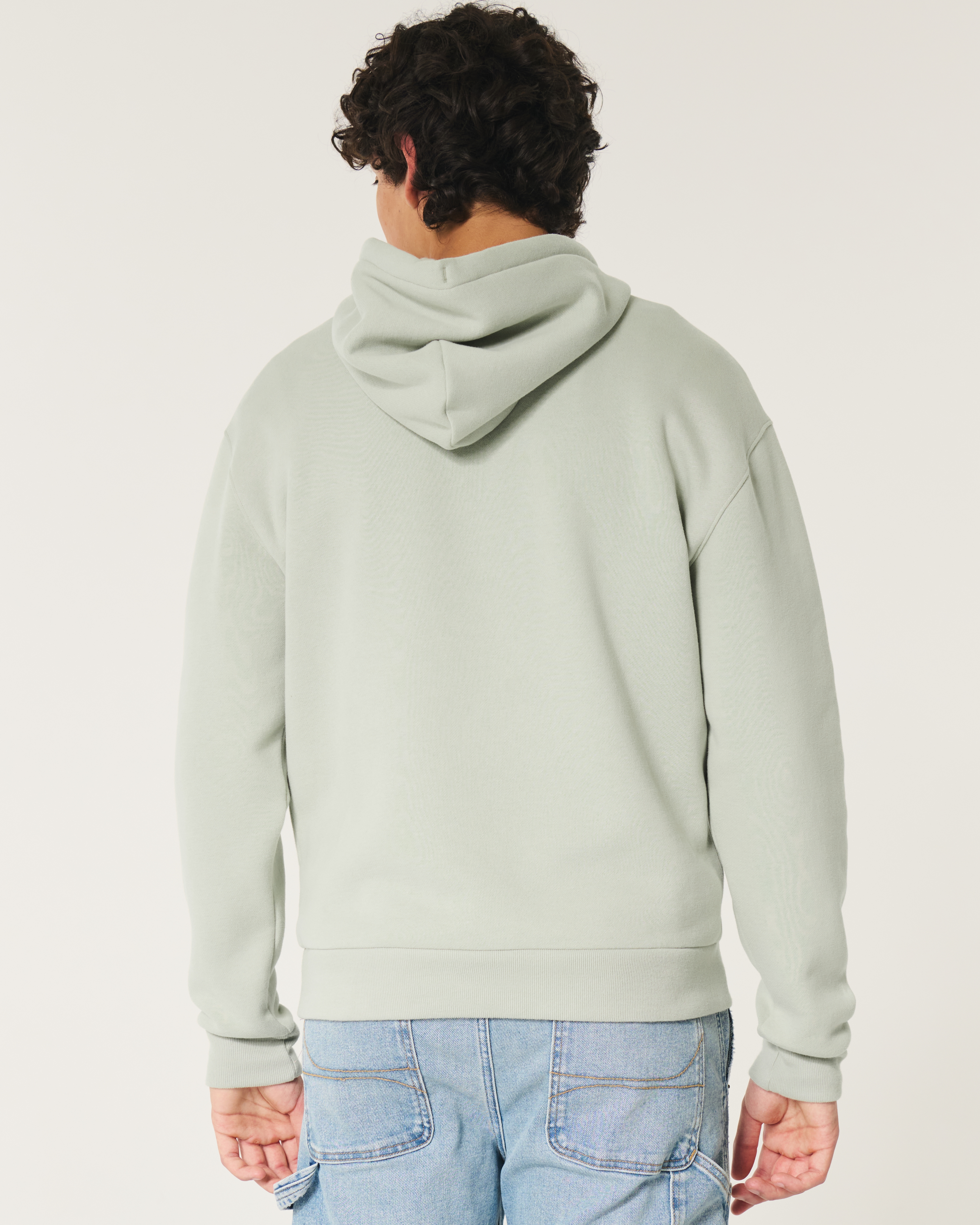 Hollister icon hoodie best sale