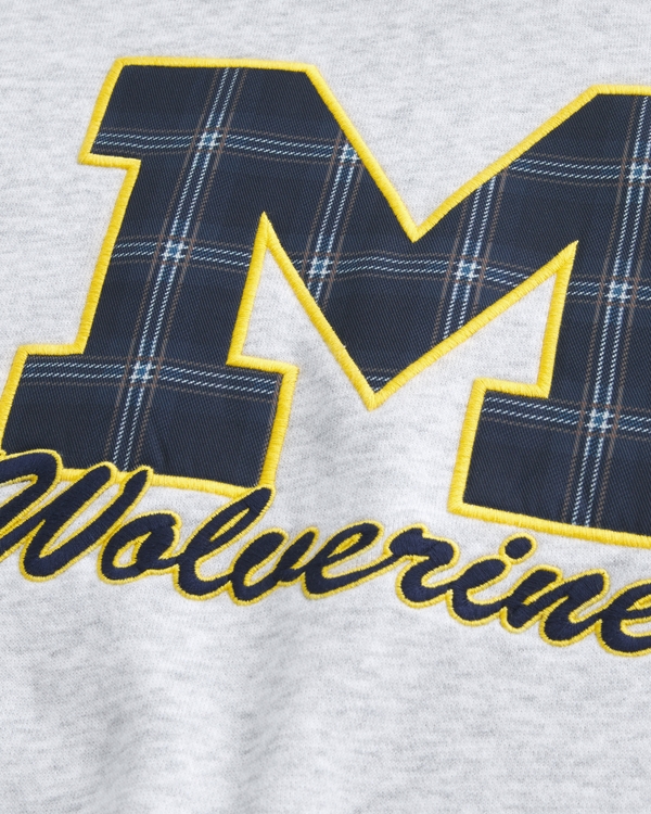 Sudadera con capucha con gráfico de la Universidad de Michigan Wolverines, Gray Melange Claro - Um view 2