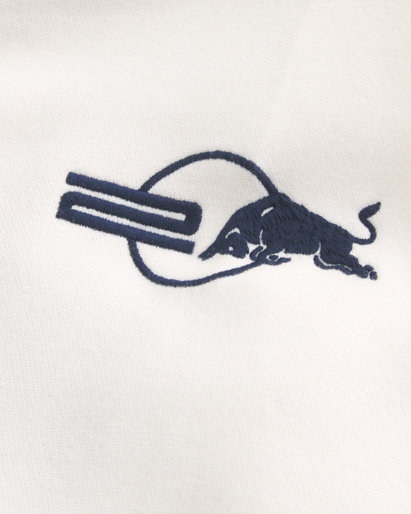 Sudadera con capucha con gráfico de Oracle Red Bull Racing