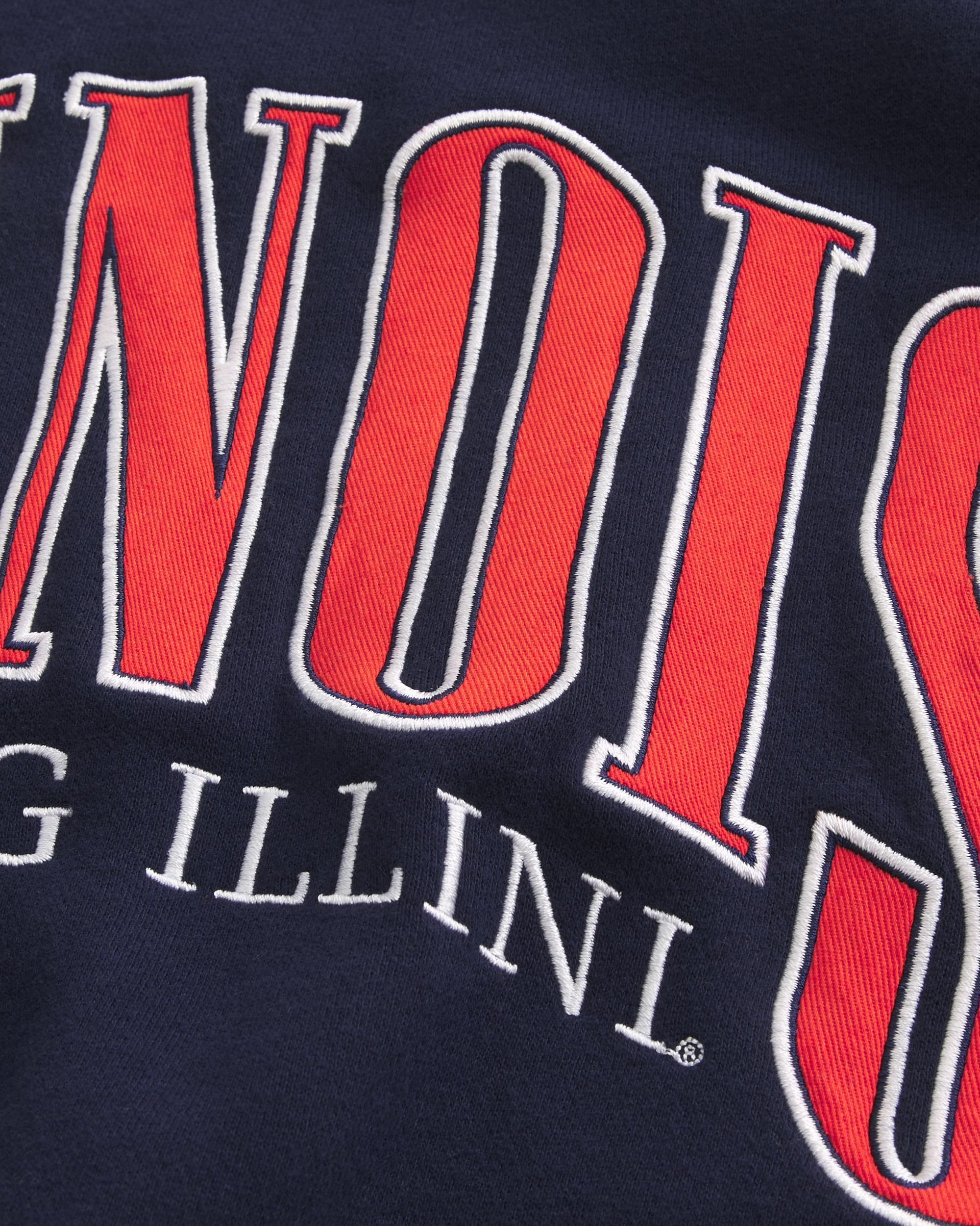 Boxy University of Illinois Fighting Illini Graphic Crew Sweatshirt