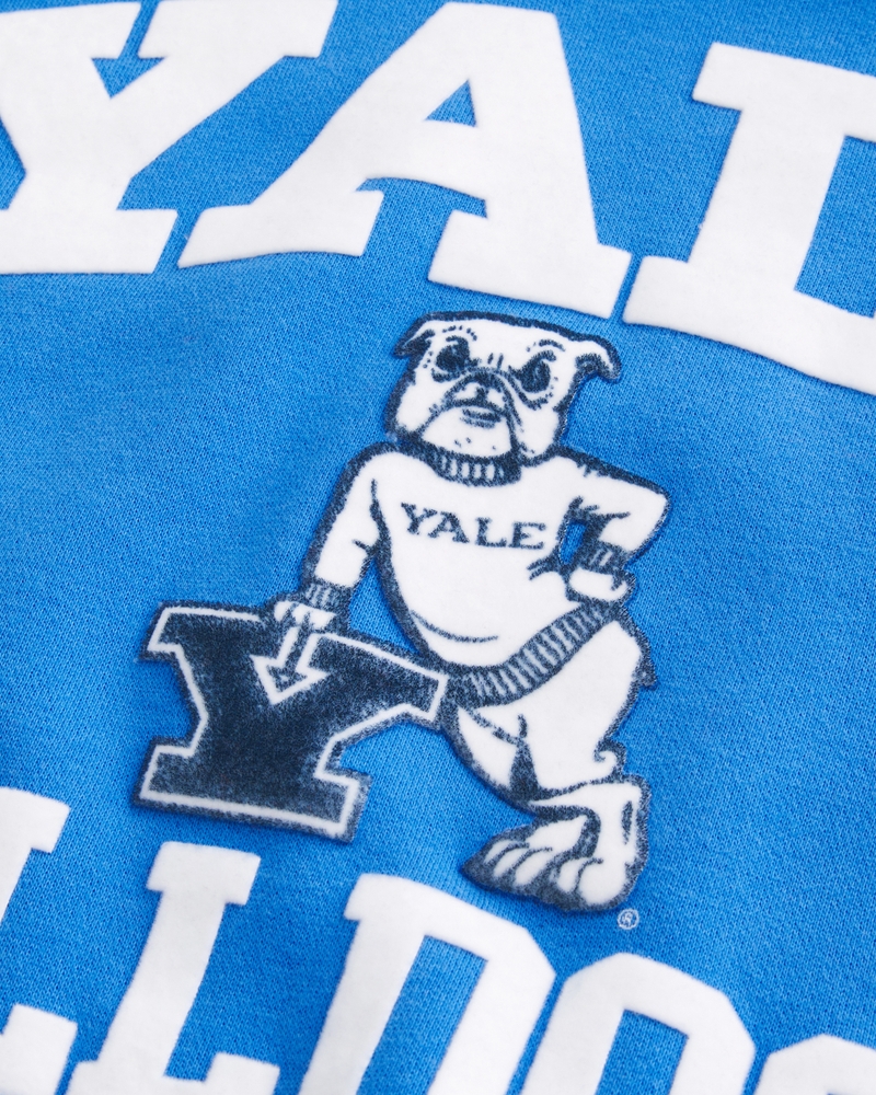 Boxy Yale Bulldogs Graphic Hoodie