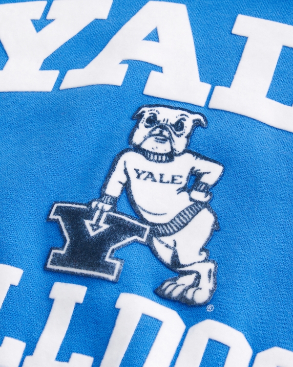 Boxy Yale Bulldogs Graphic Hoodie
