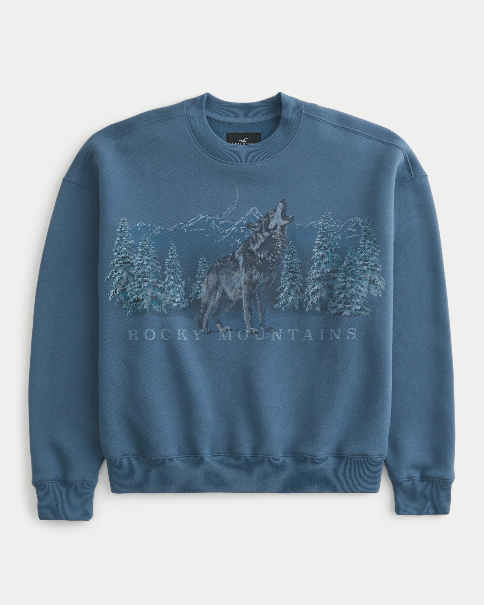 Hollister Grand Canyon Arizona Graphic Crew Sweatshirt