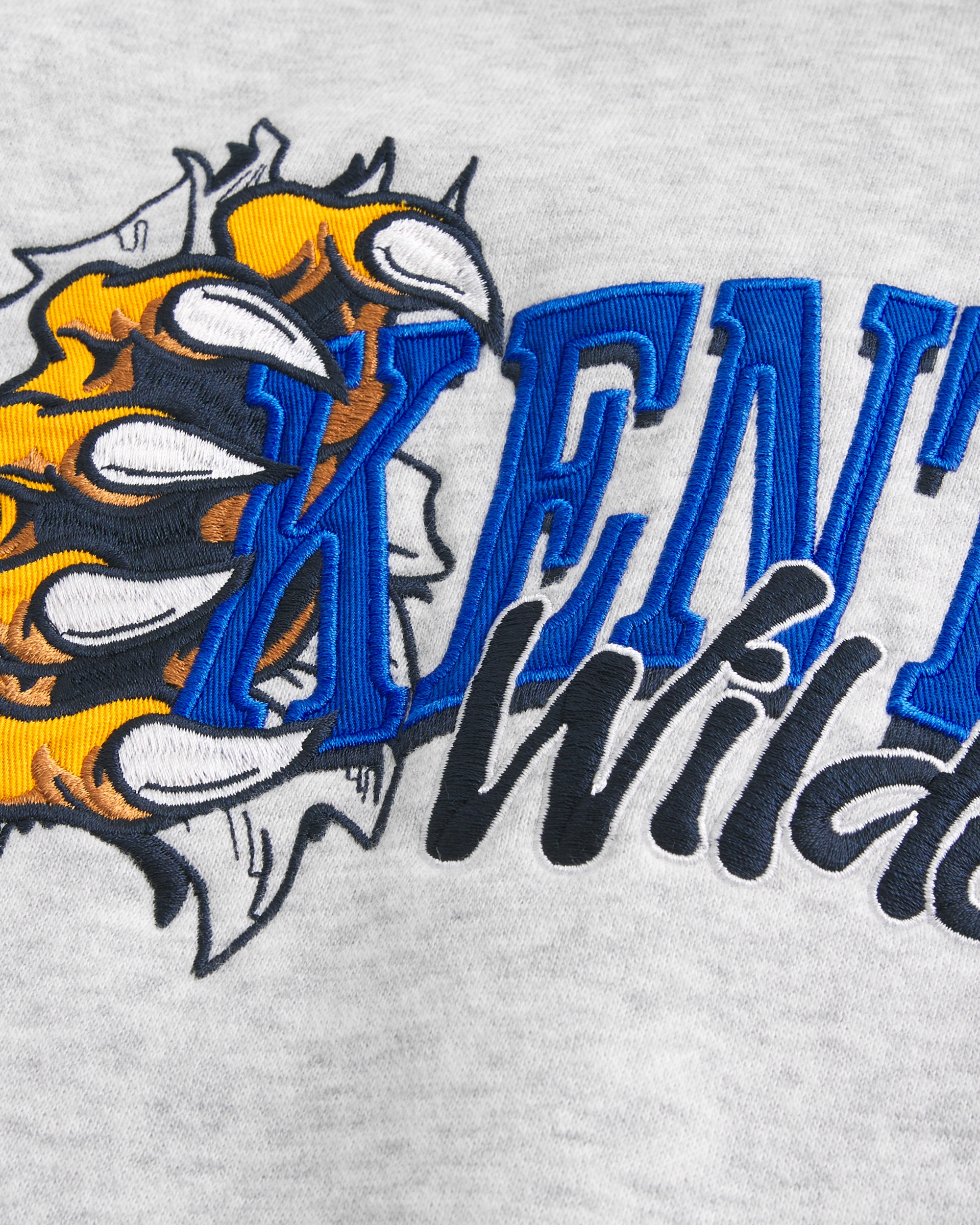 Boxy University of Kentucky Wildcats Graphic Hoodie