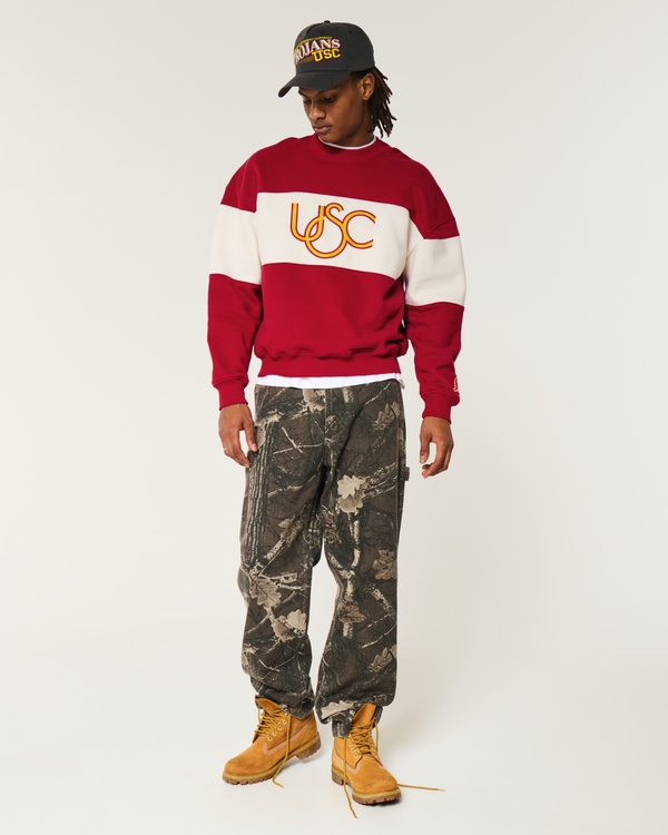Boxy USC Graphic Crew Sweatshirt, Cardinal And Cream view 2