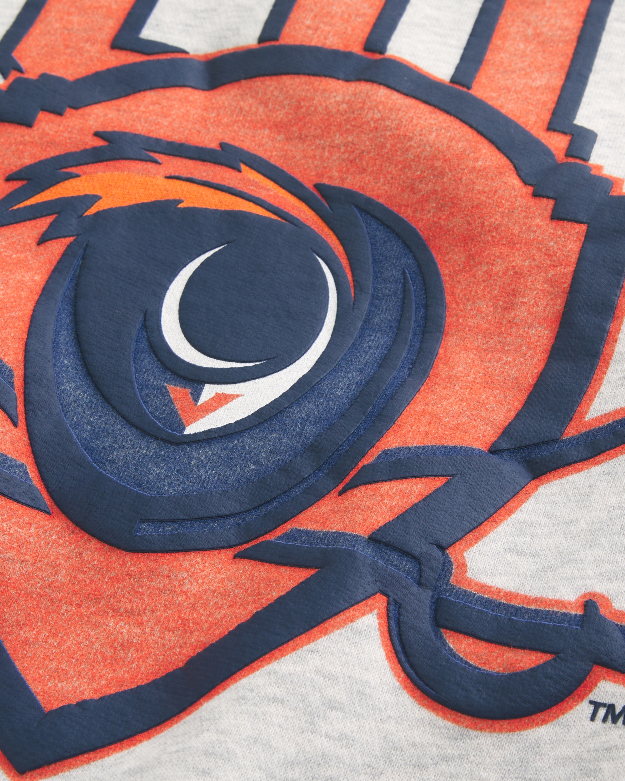 Boxy Zip-Up University of Virginia Graphic Hoodie