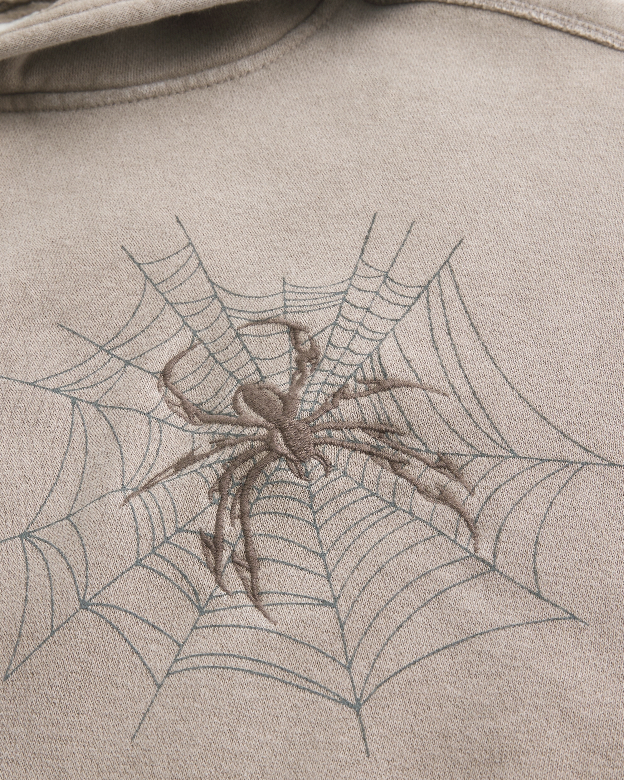 Baggy Cinch Spider Graphic Hoodie