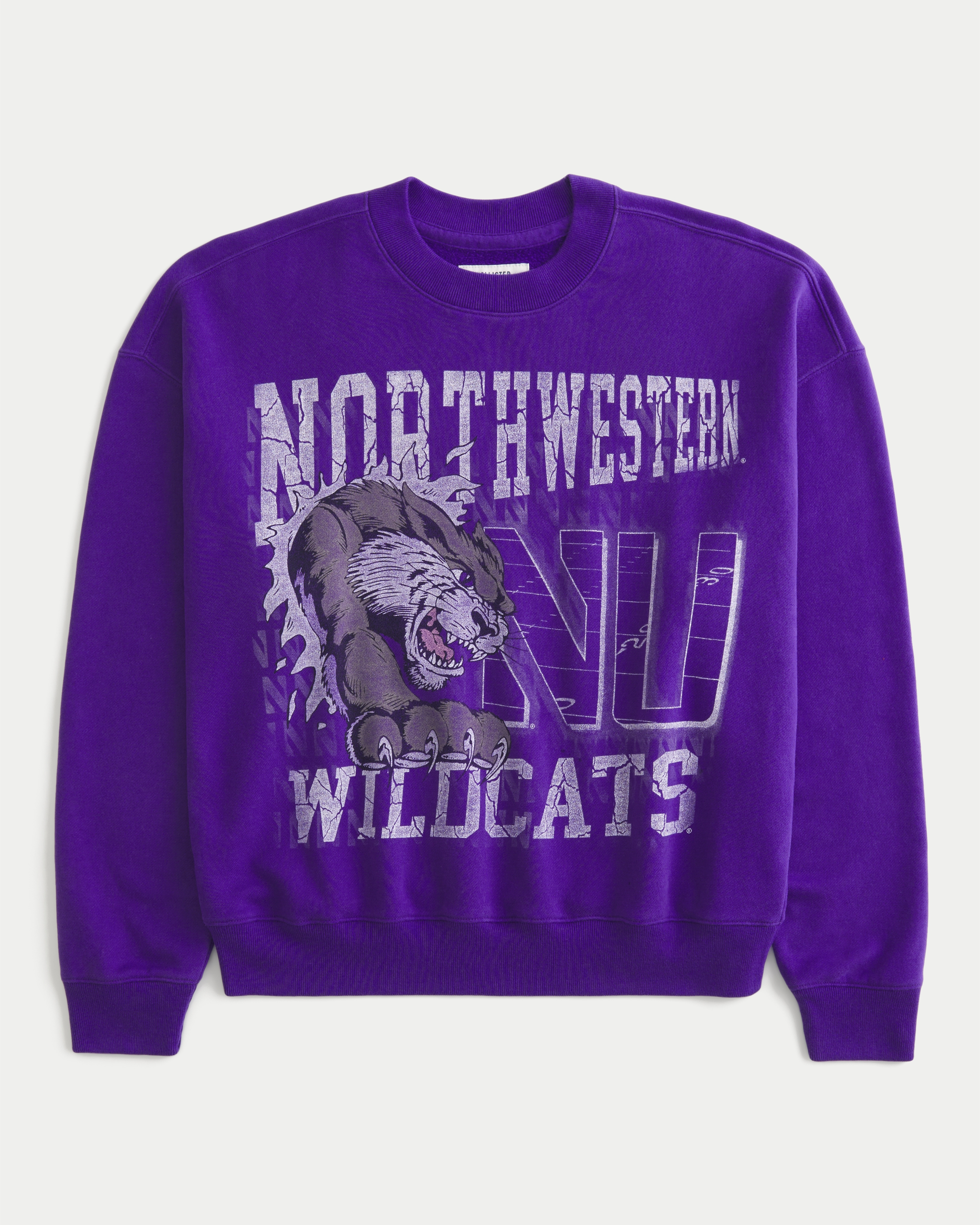 Boxy Northwestern University Wildcats Graphic Crew Sweatshirt
