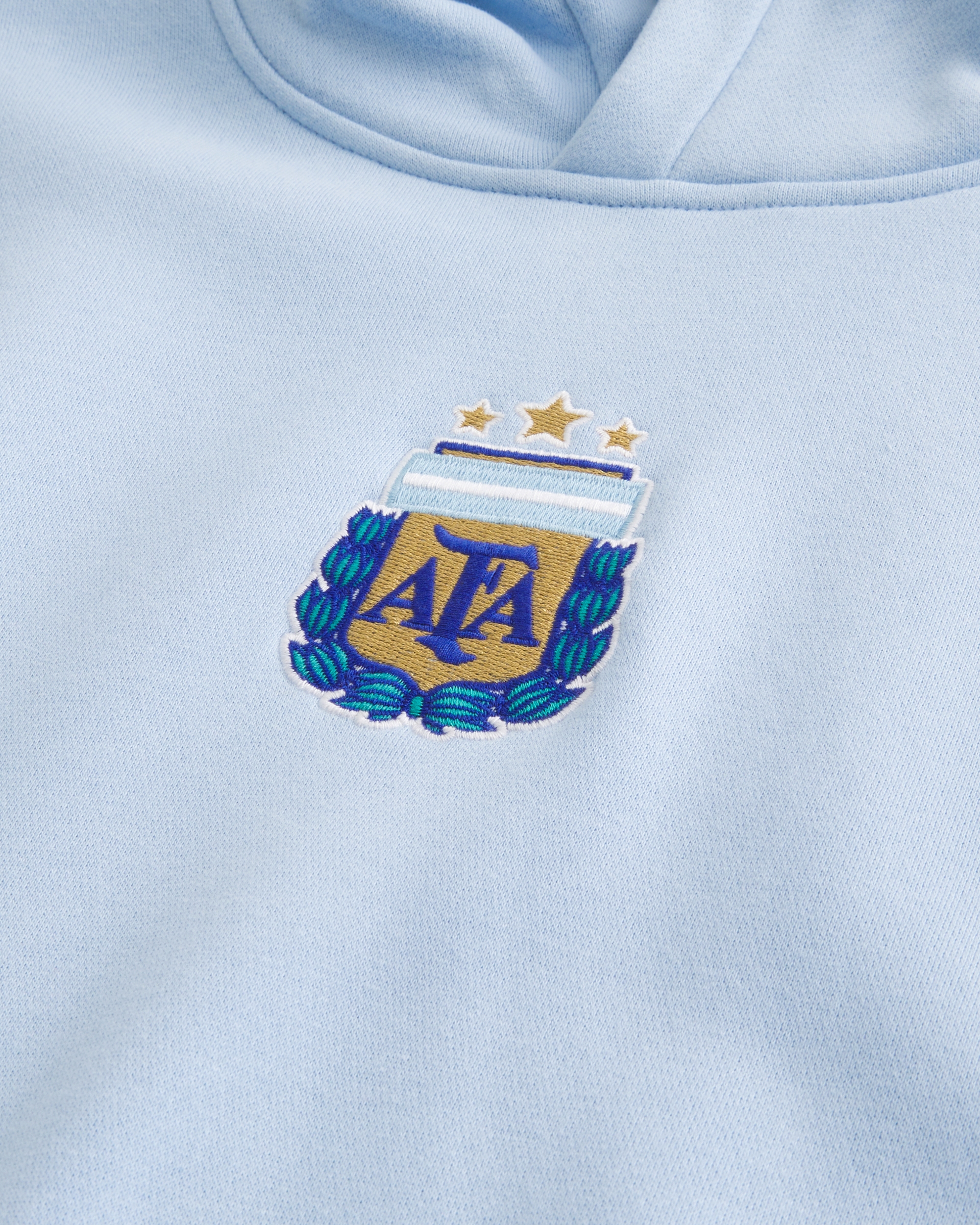 Argentine Football Association Graphic Hoodie